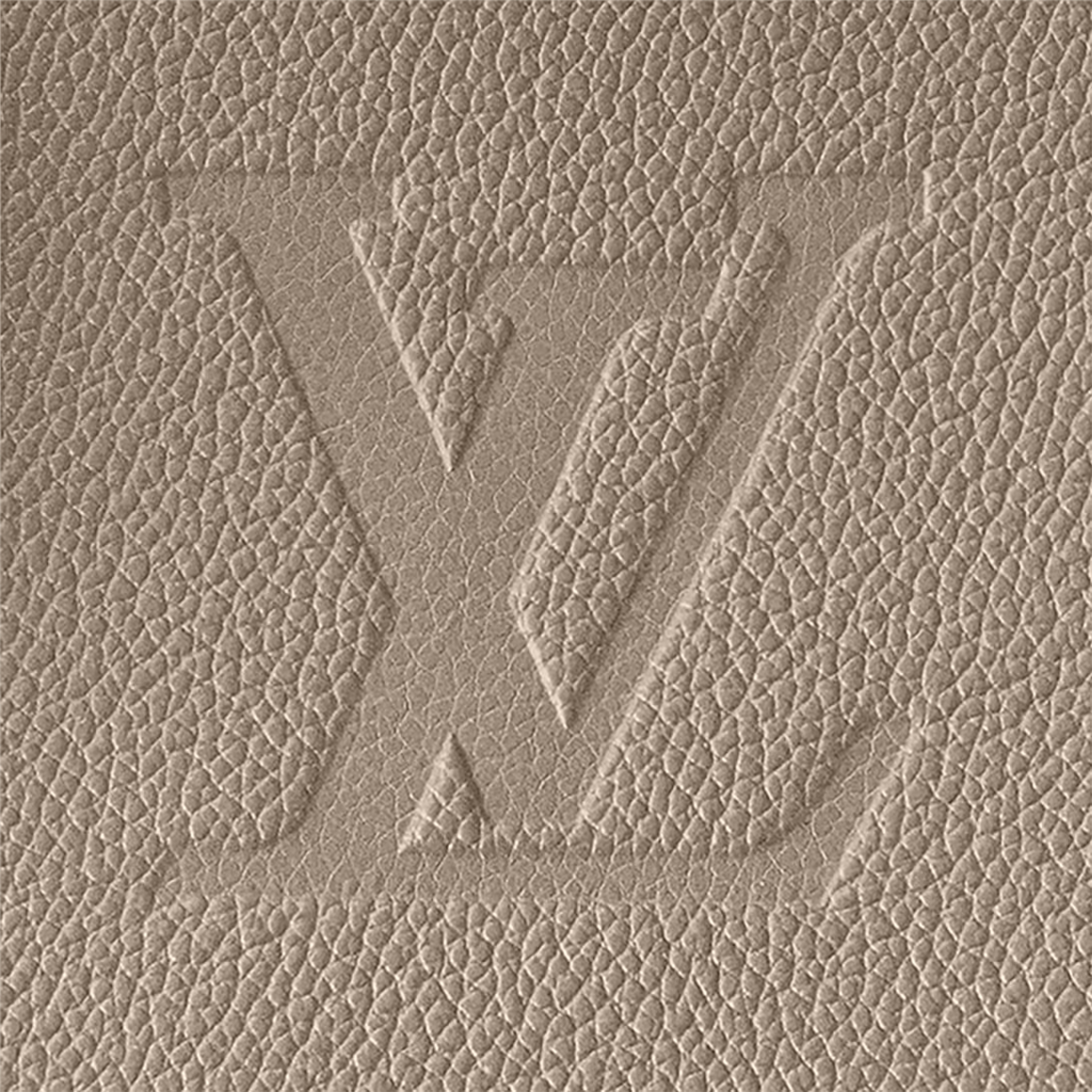Louis Vuitton Speedy Bandoulière 25 Bag