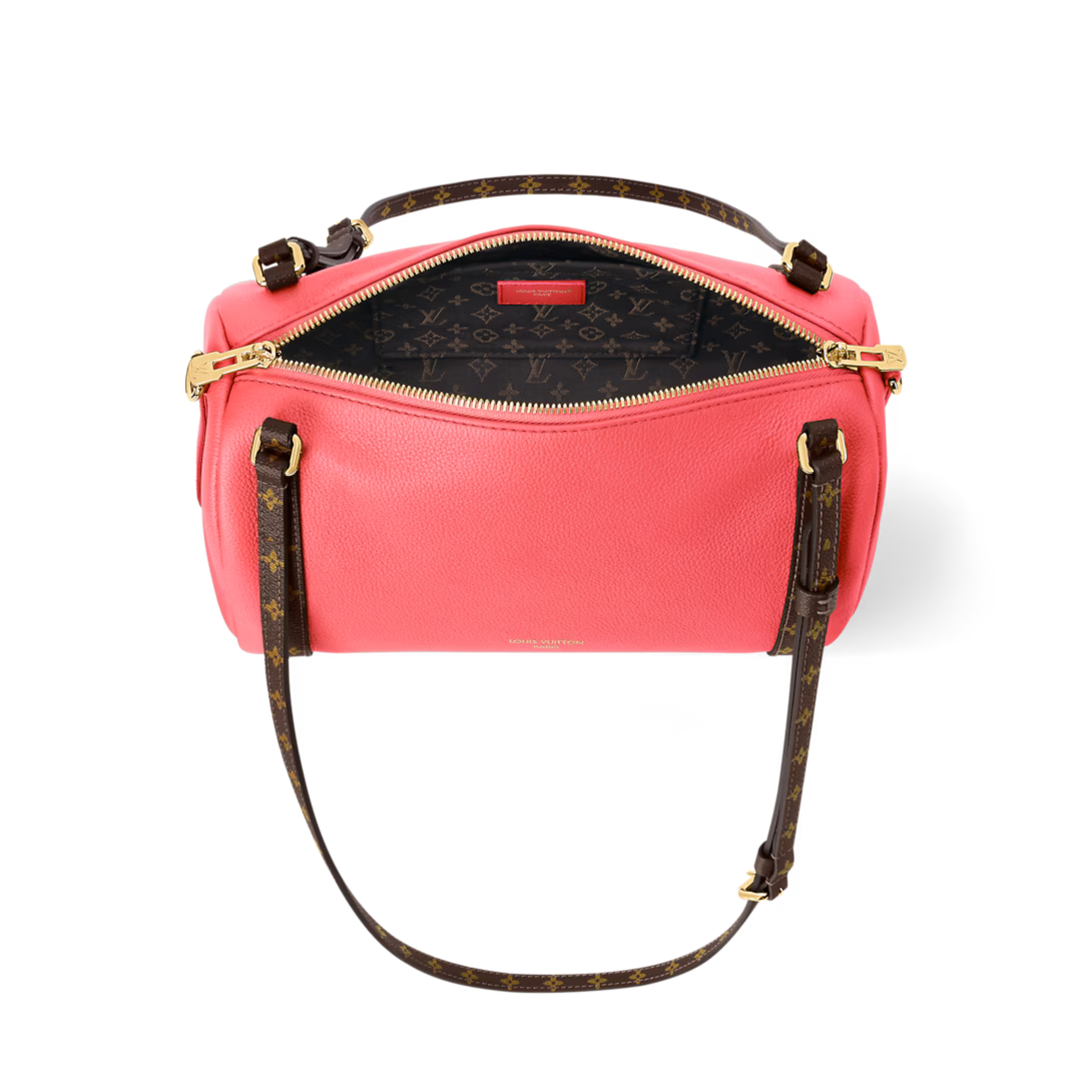 Louis Vuitton Express PM Bag