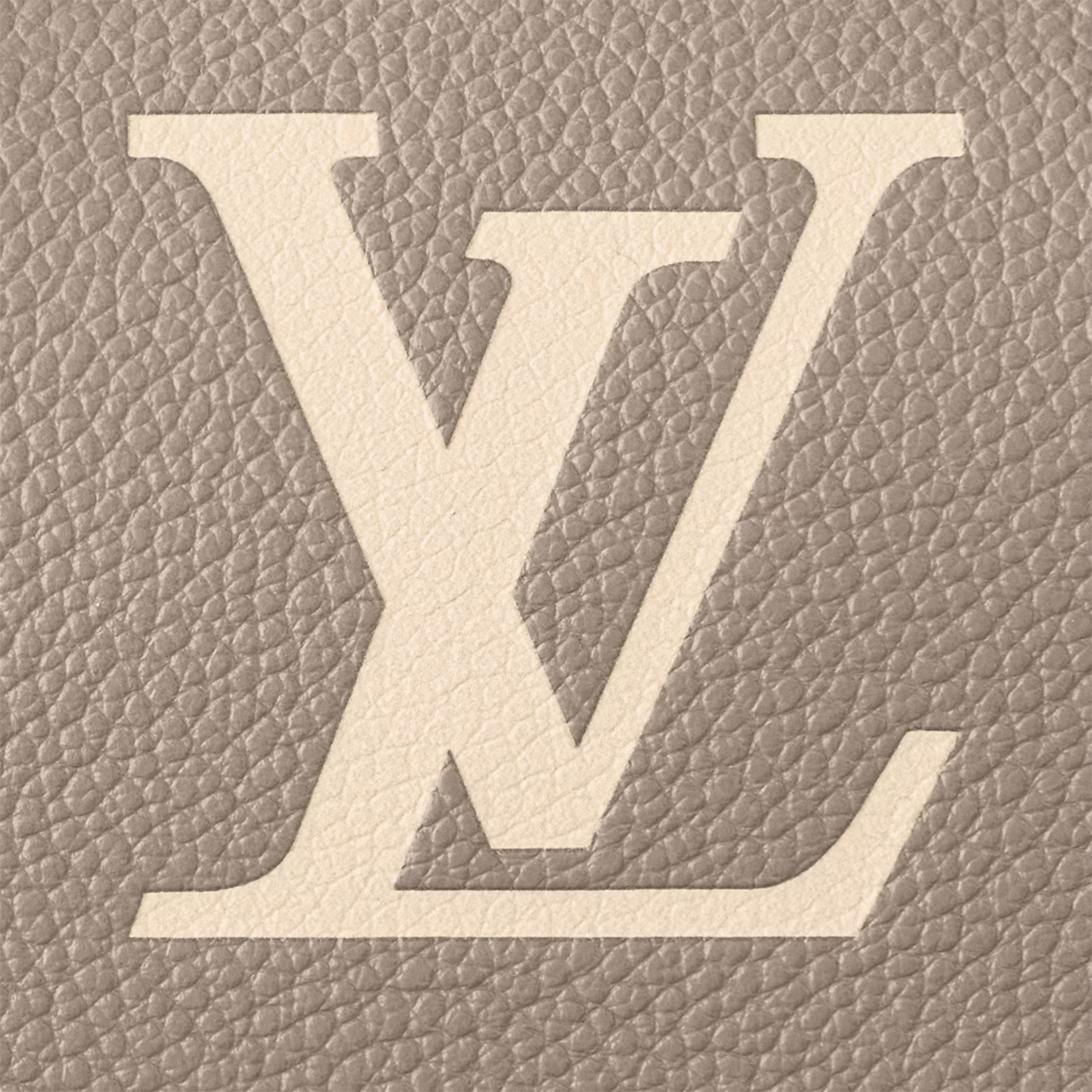 Louis Vuitton Speedy Bandoulière 20 Bag