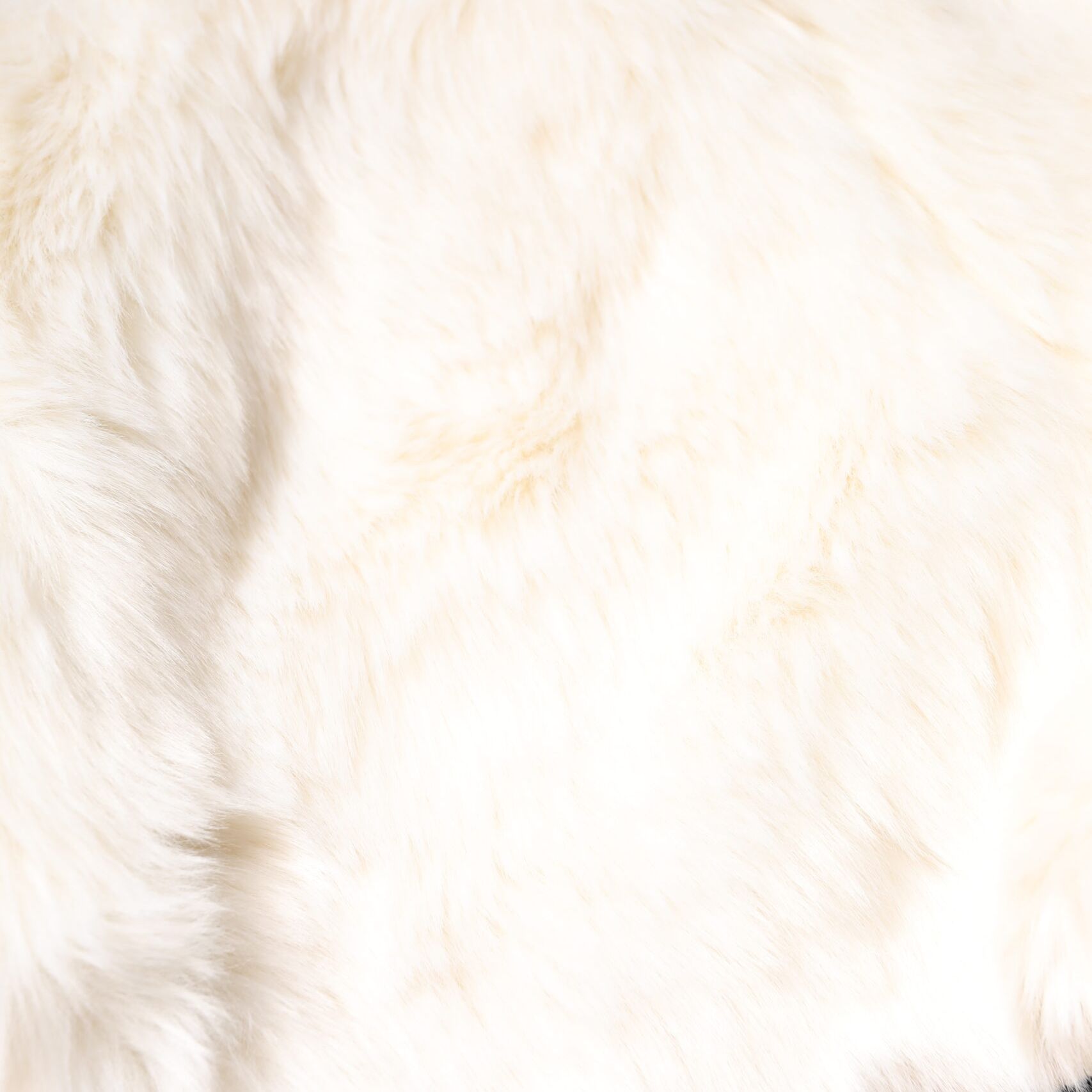 Dolce & Gabbana White Faux Fur High Waisted Hot Pants Short