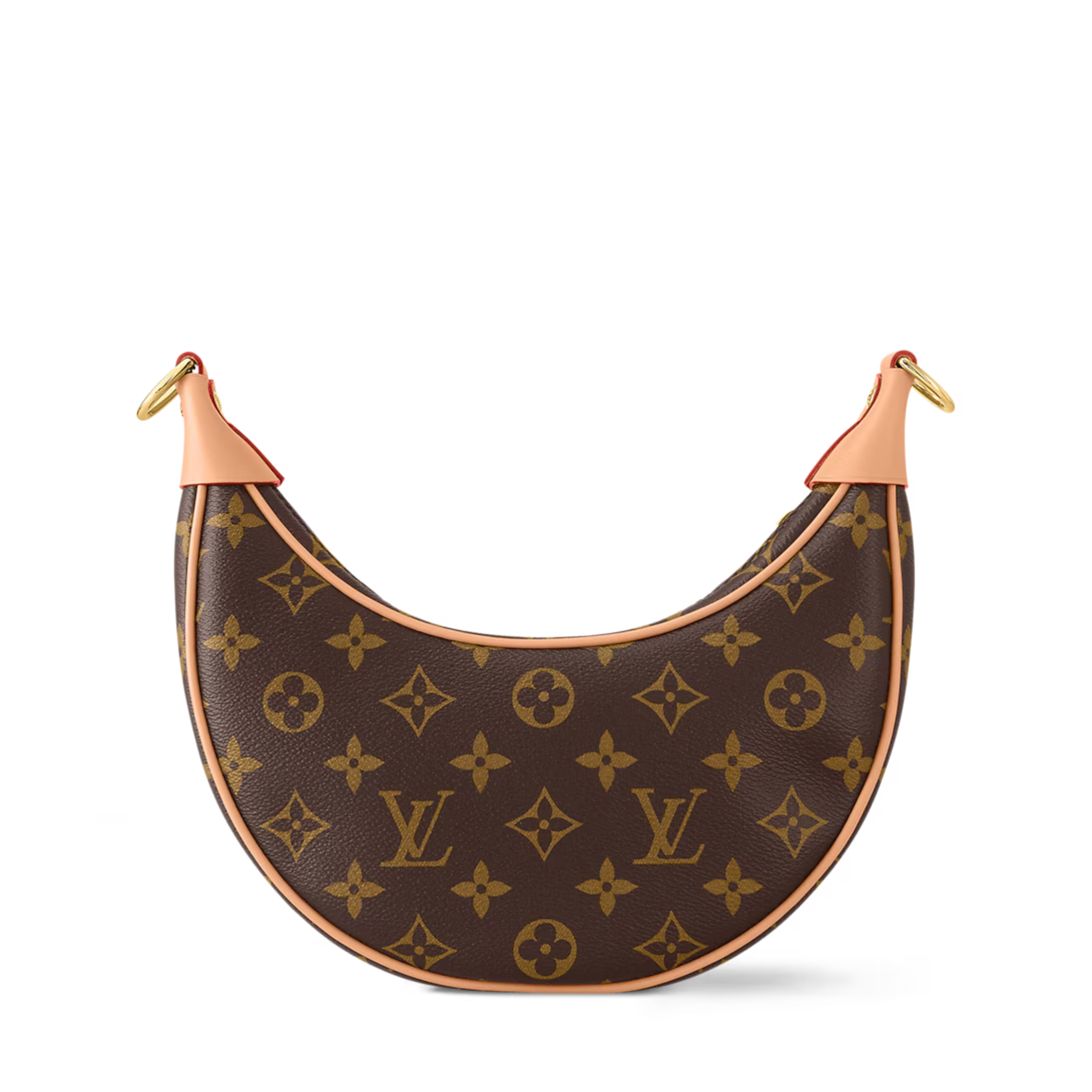 Louis Vuitton Loop PM Bag