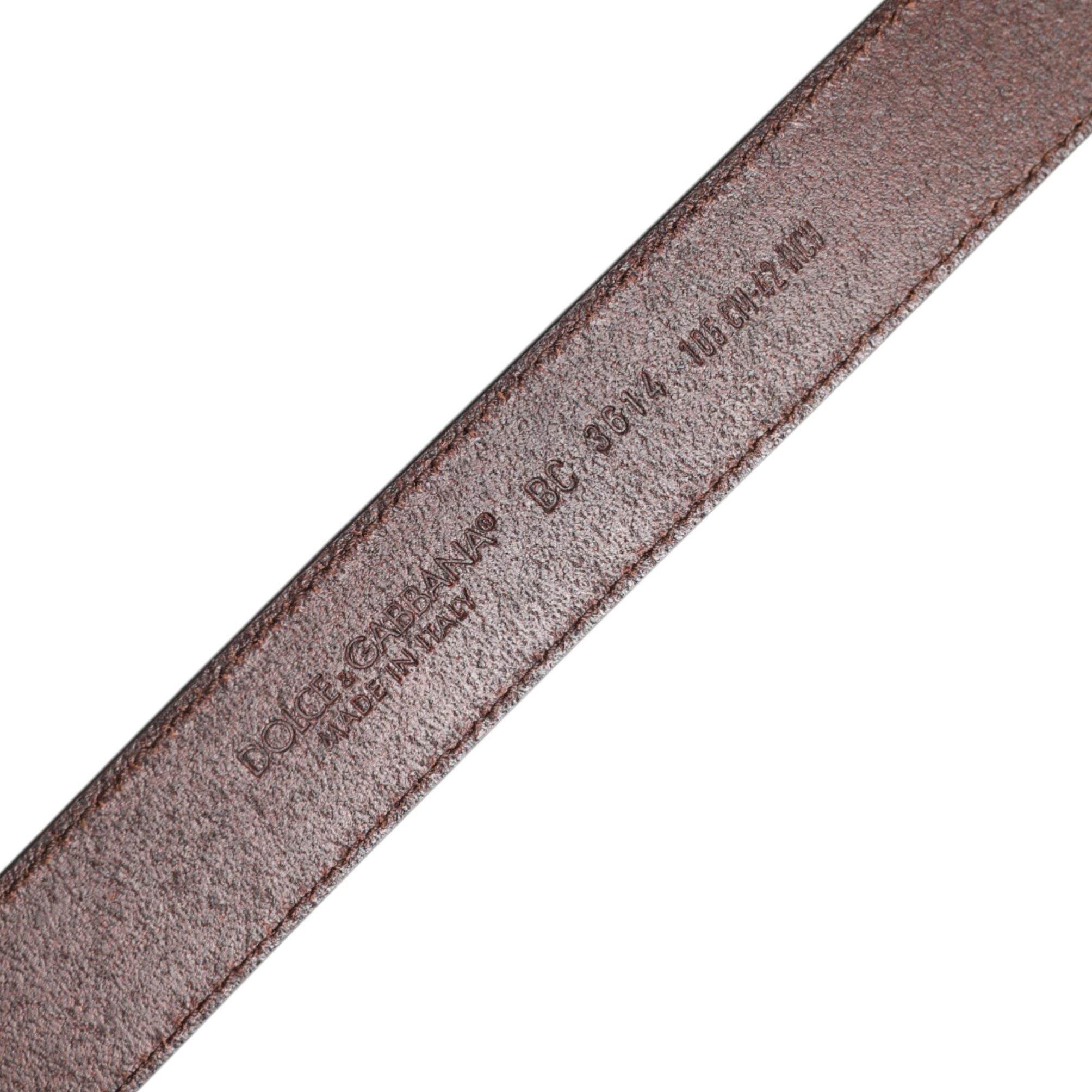 Dolce & Gabbana Brown Classic Calf Leather Metal Buckle Belt