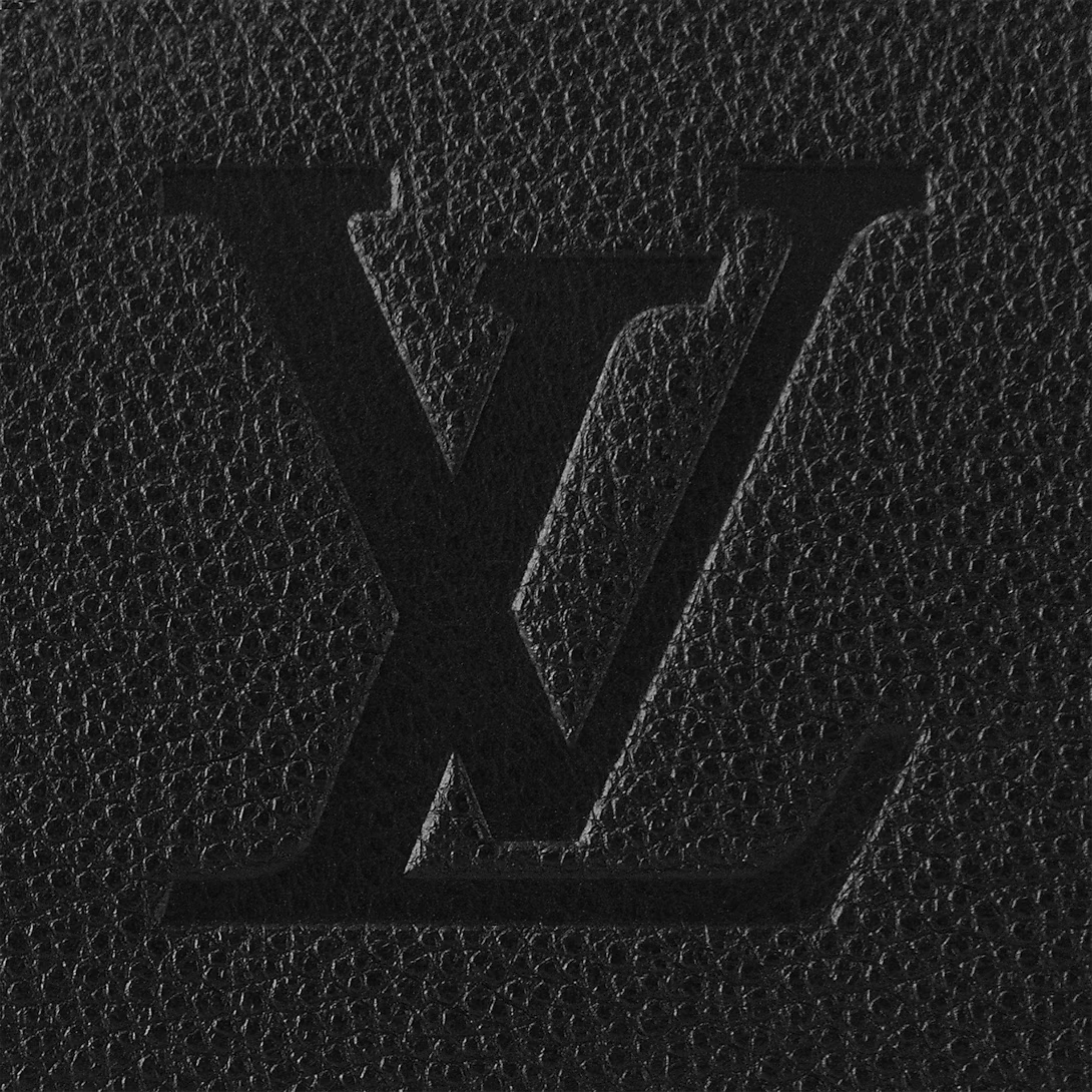 Louis Vuitton Speedy Bandoulière 20 Bag