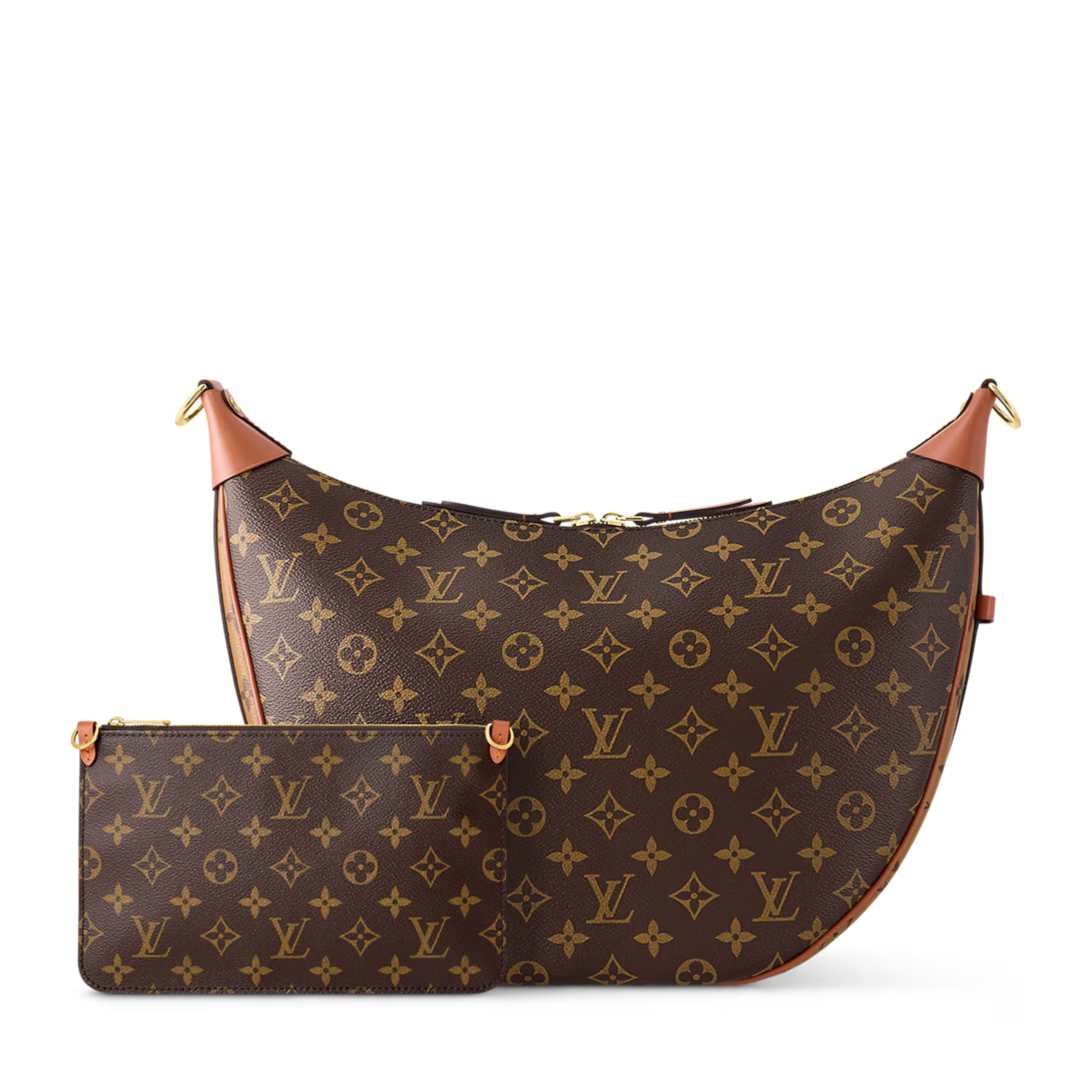 Louis Vuitton Loop Hobo Bag