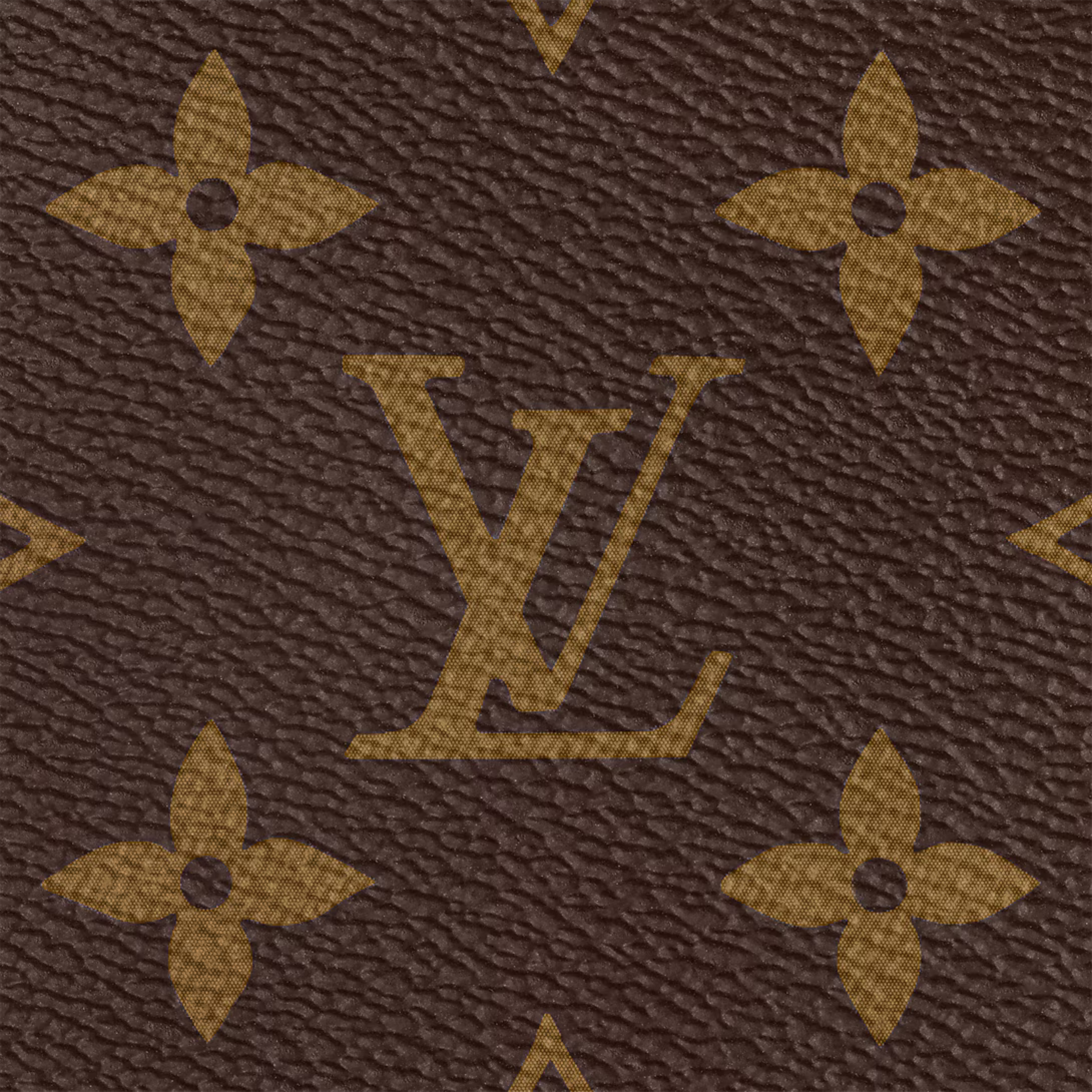 Louis Vuitton Multi Pochette Accessoires Bag