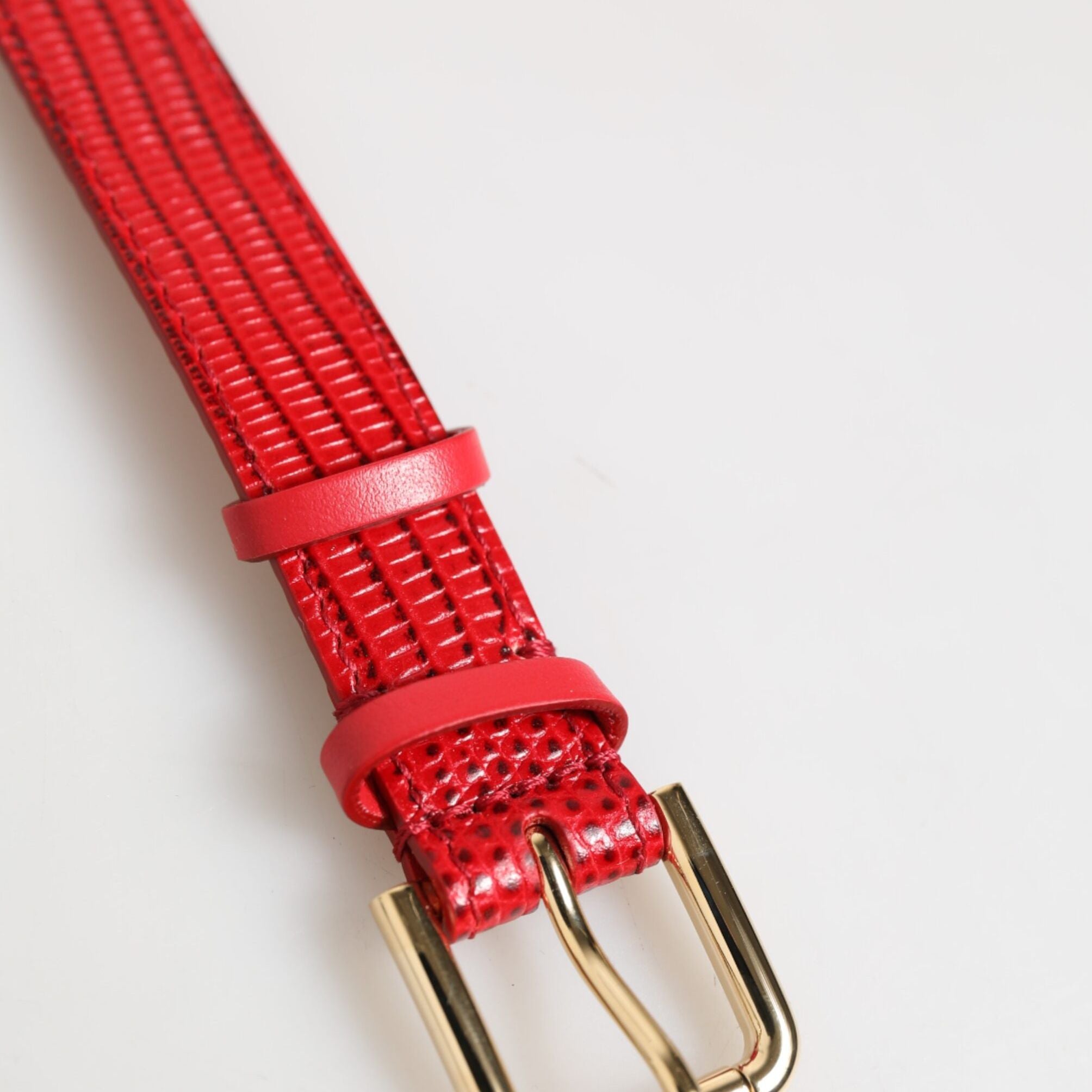 Dolce & Gabbana Red Exotic Leather Gold Tone Metal Buckle Women Armband