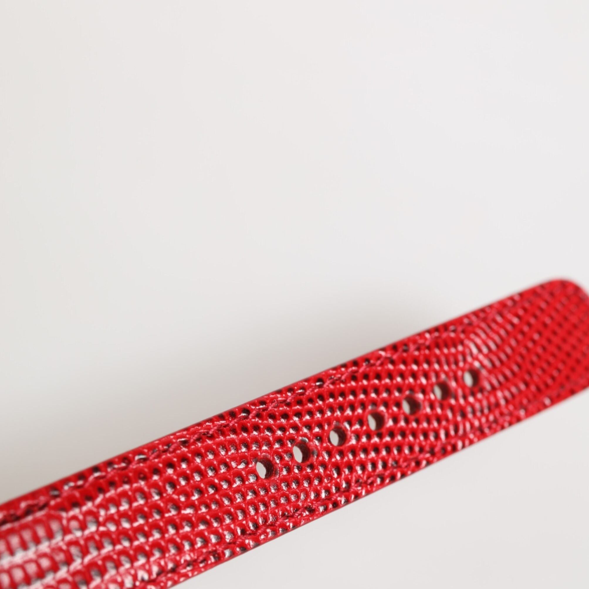 Dolce & Gabbana Red Exotic Leather Gold Tone Metal Buckle Women Armband