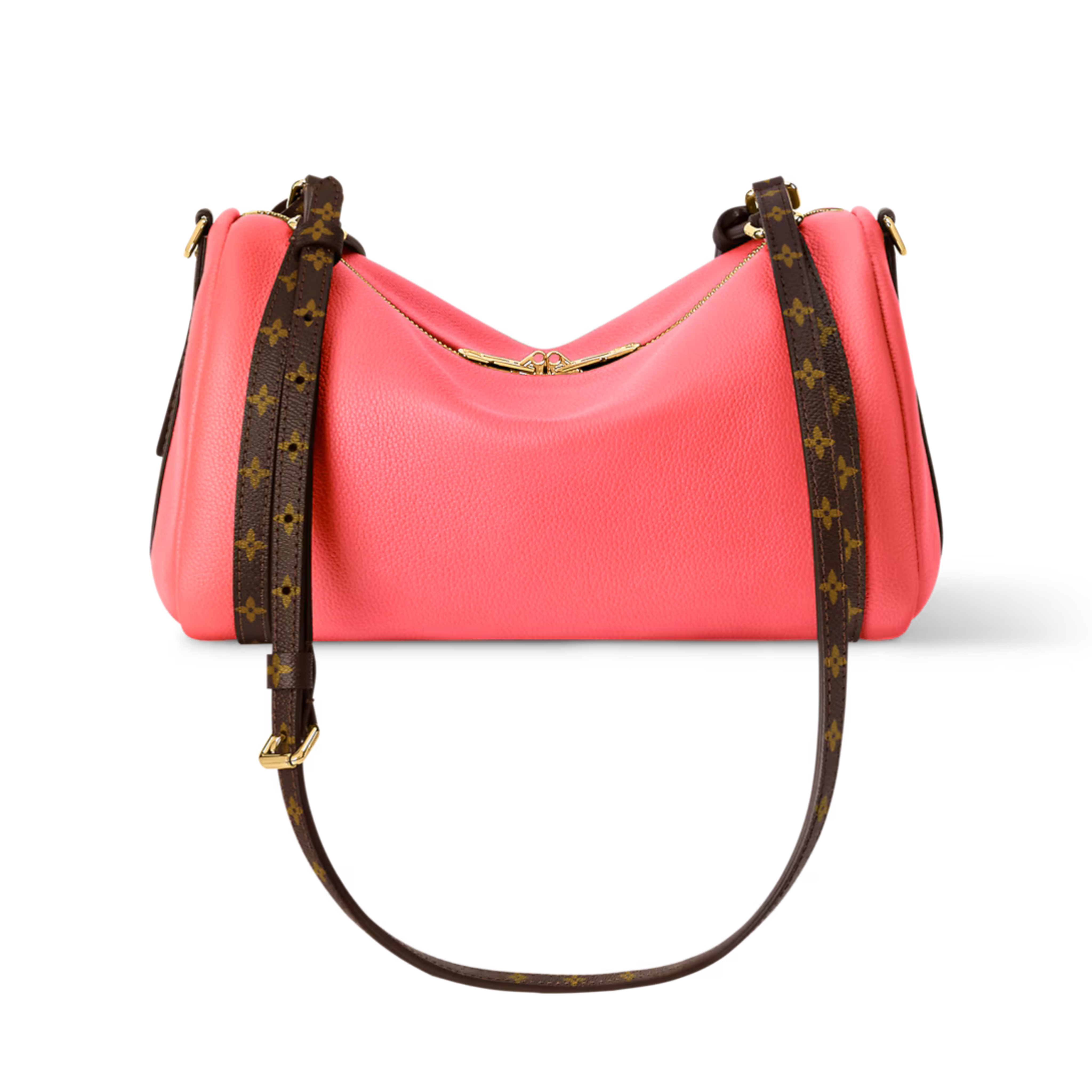 Louis Vuitton Express PM Bag