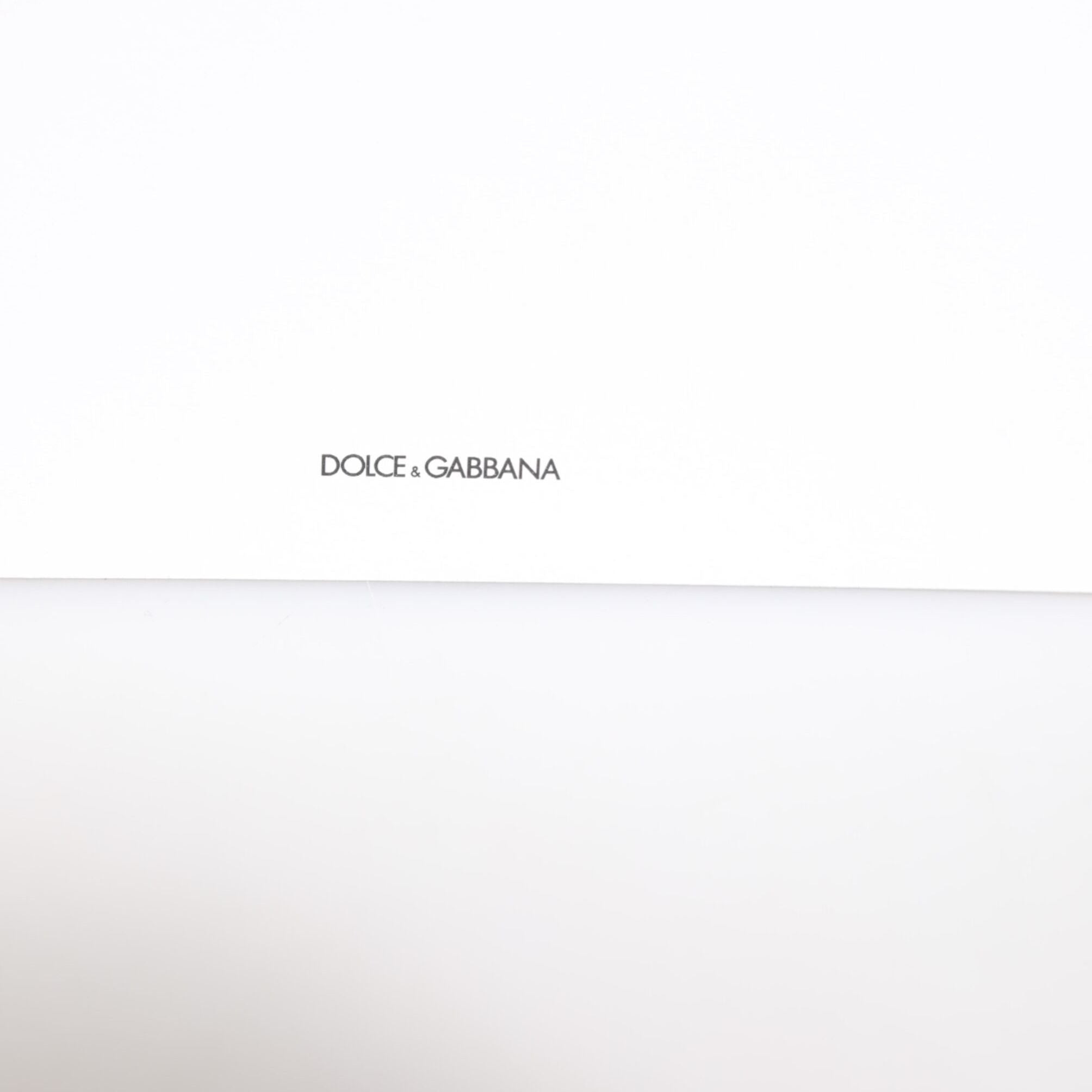 Dolce & Gabbana Multicolor Leopard Print Envelope Paper Post Card Holder