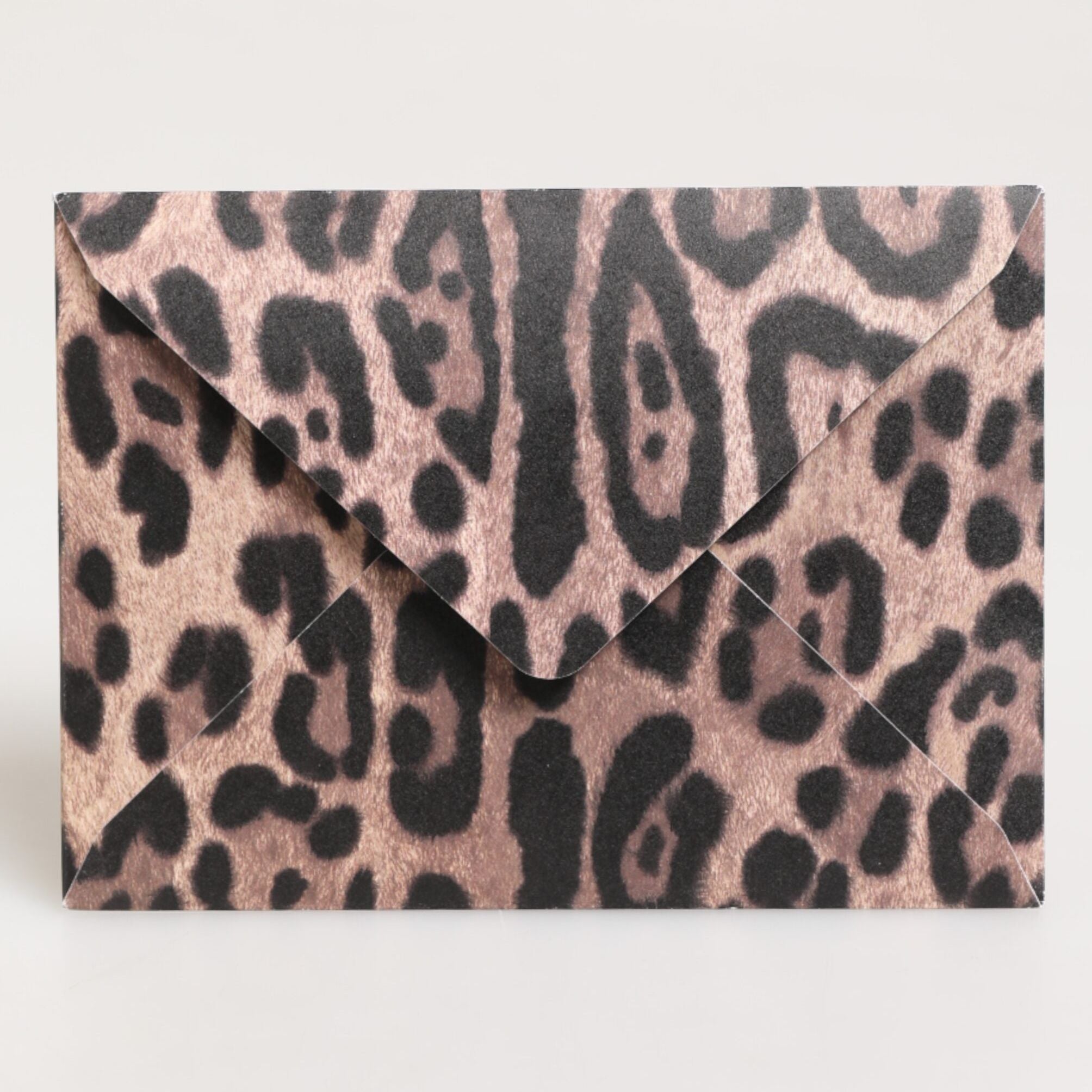 Dolce & Gabbana Multicolor Leopard Print Envelope Paper Post Card Holder