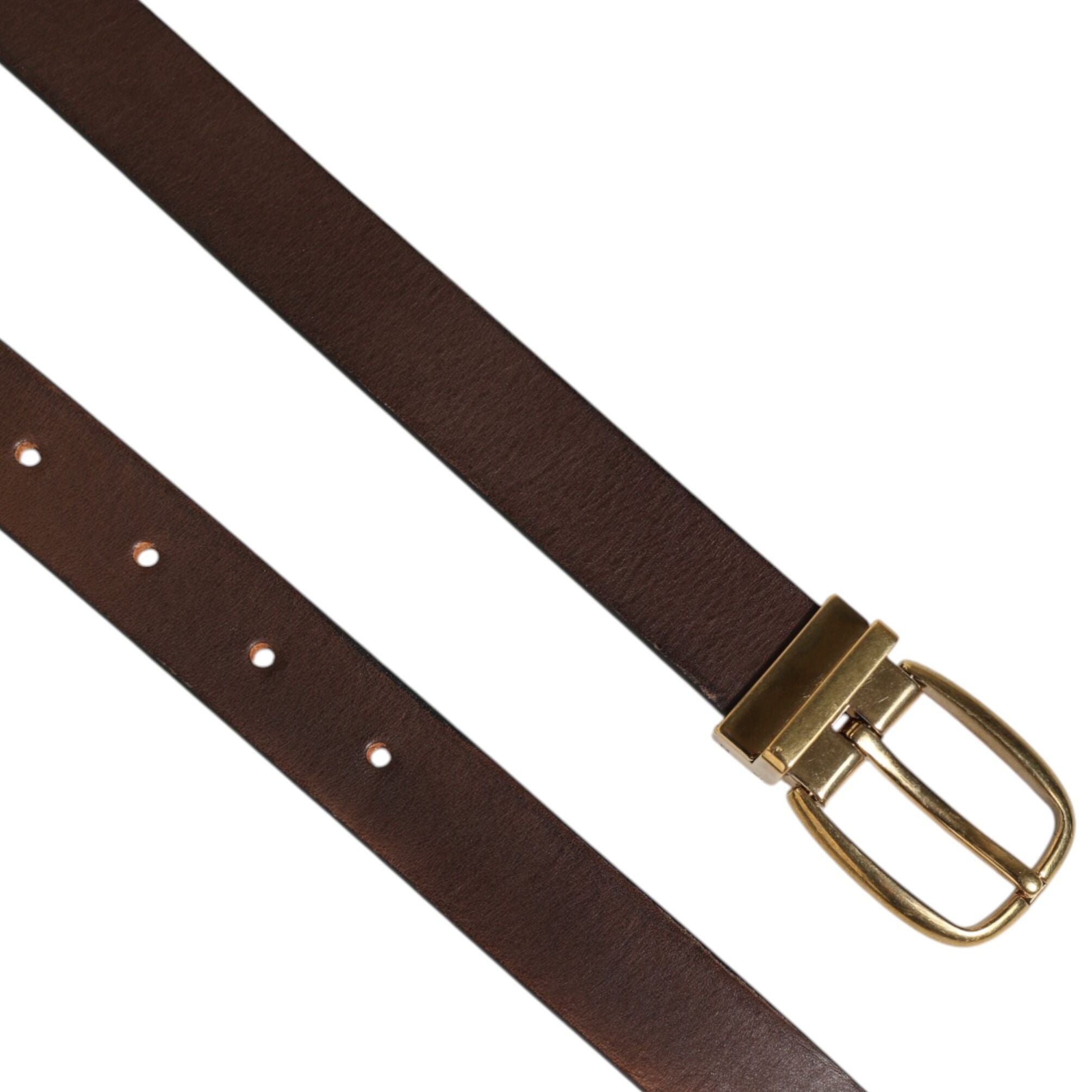 Dolce & Gabbana Brown Classic Gold Metal Logo Buckle Men Belt