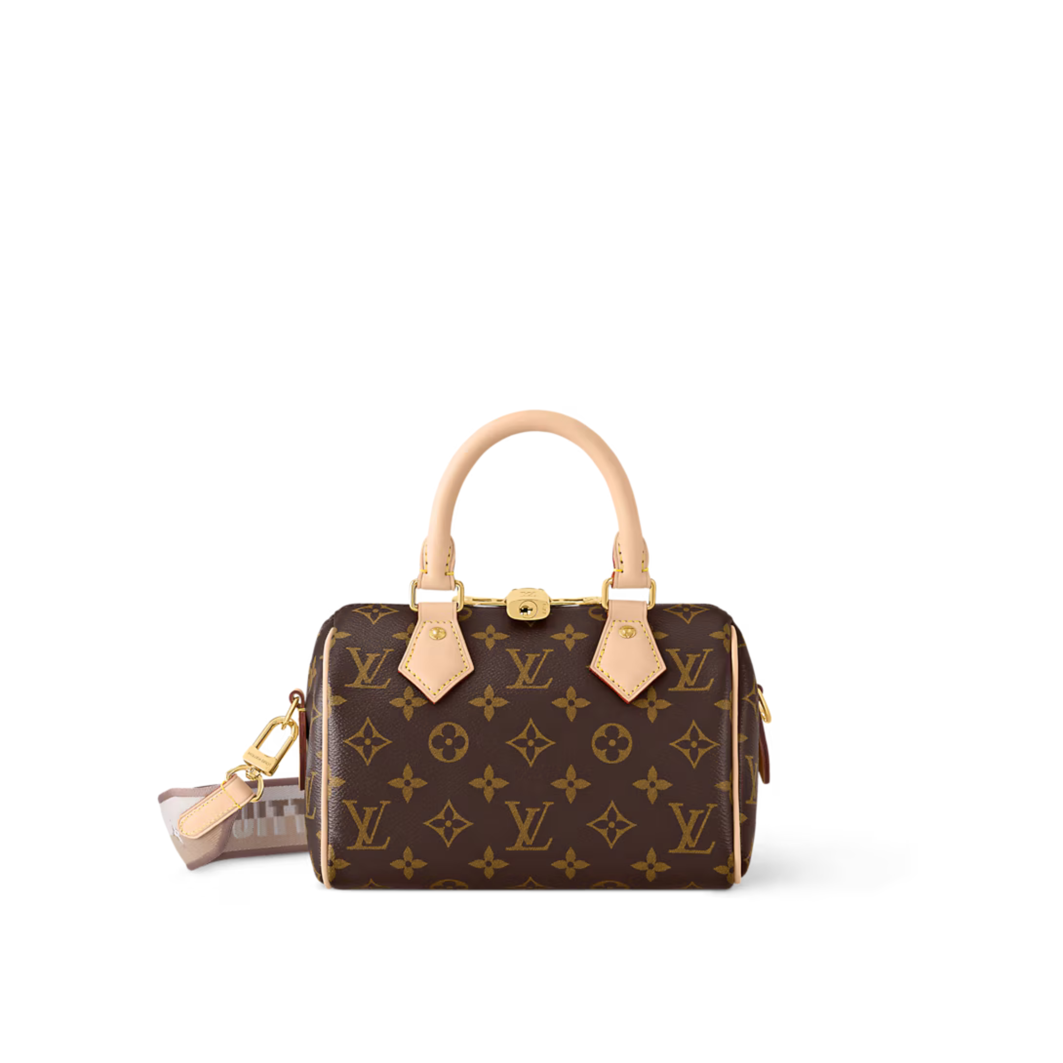 Louis Vuitton Speedy Bandoulière 20 Bag