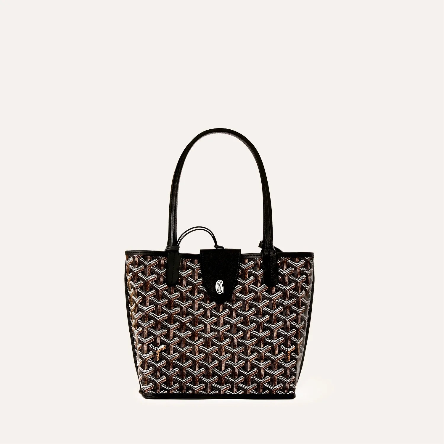 Goyard Anjou Mini Bag