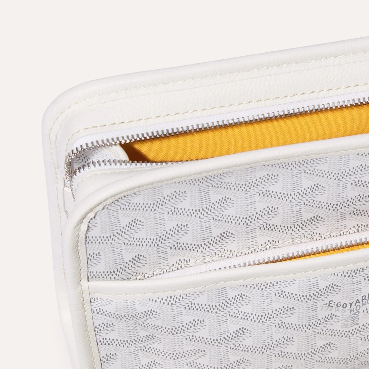 Goyard Jouvence PM Toiletry Bag