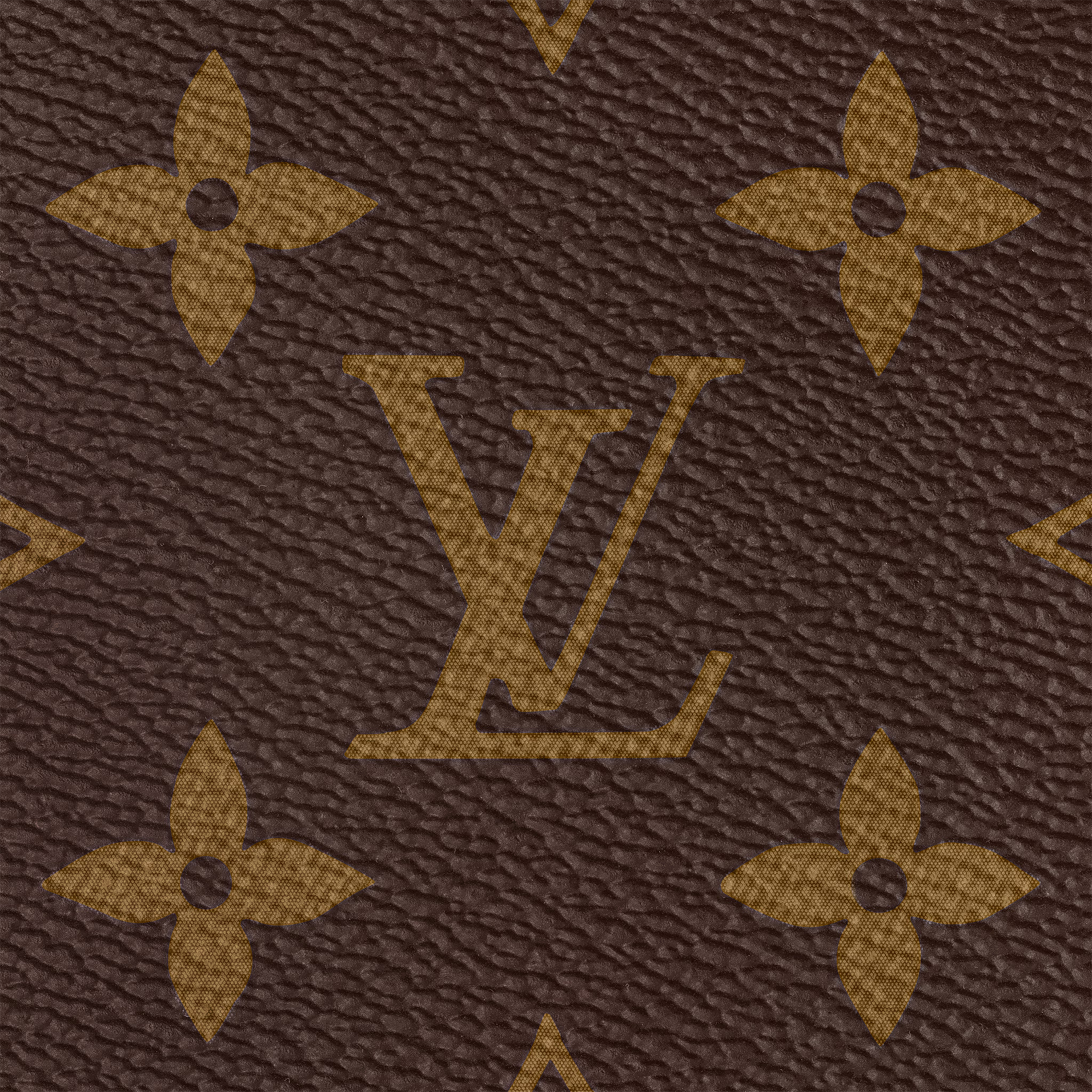 Louis Vuitton Speedy Bandoulière 25 Bag