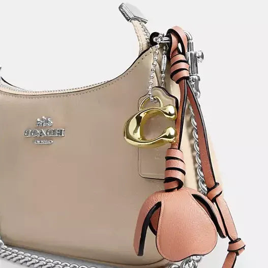 Coach Teri Mini Crossbody Bag With Charms