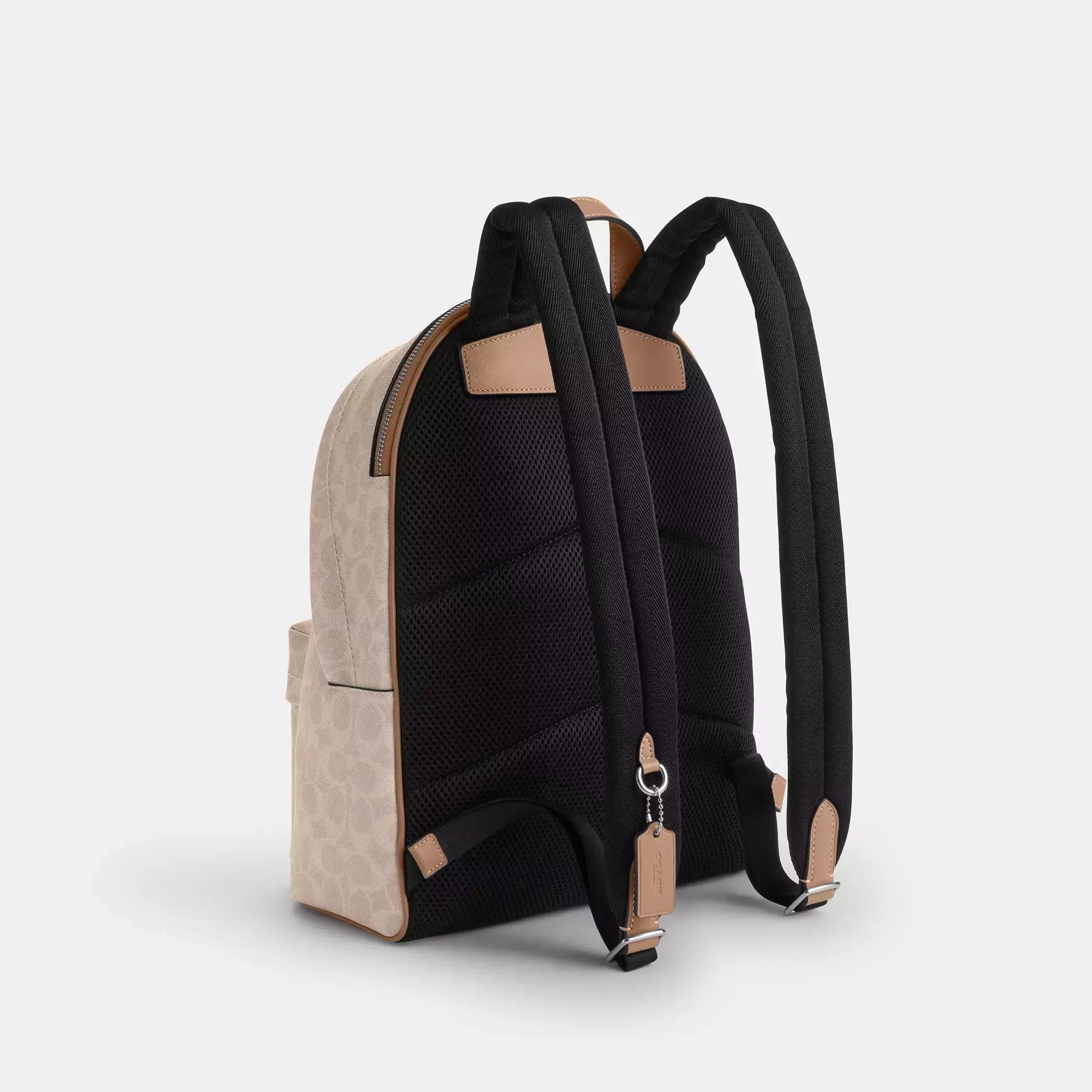 Coach Taylor Small Backpack In Signature Canvas