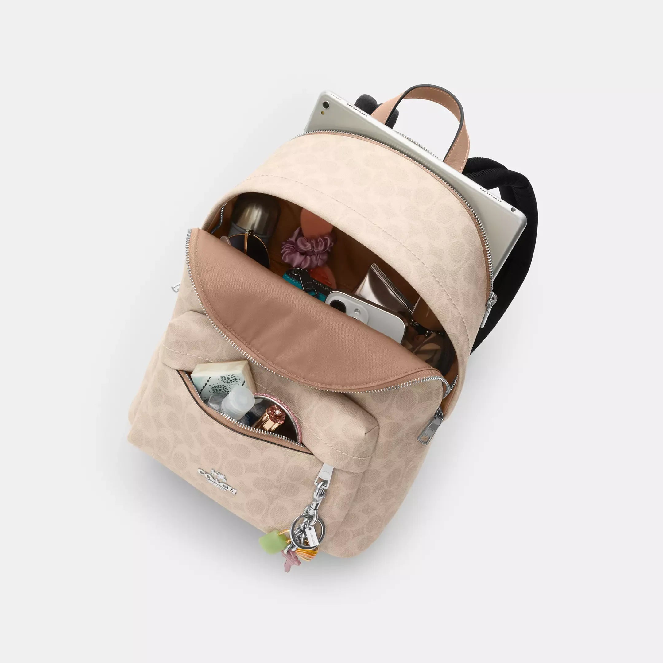 Coach Taylor Small Backpack In Signature Canvas