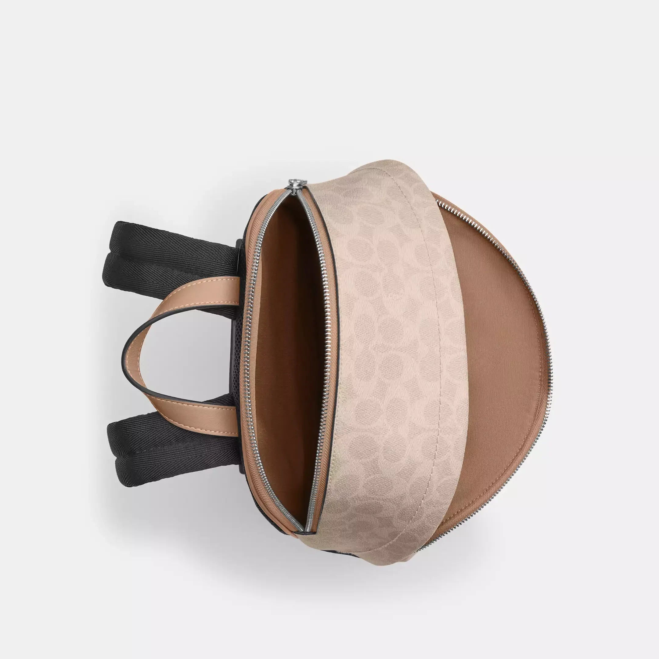 Coach Taylor Small Backpack In Signature Canvas