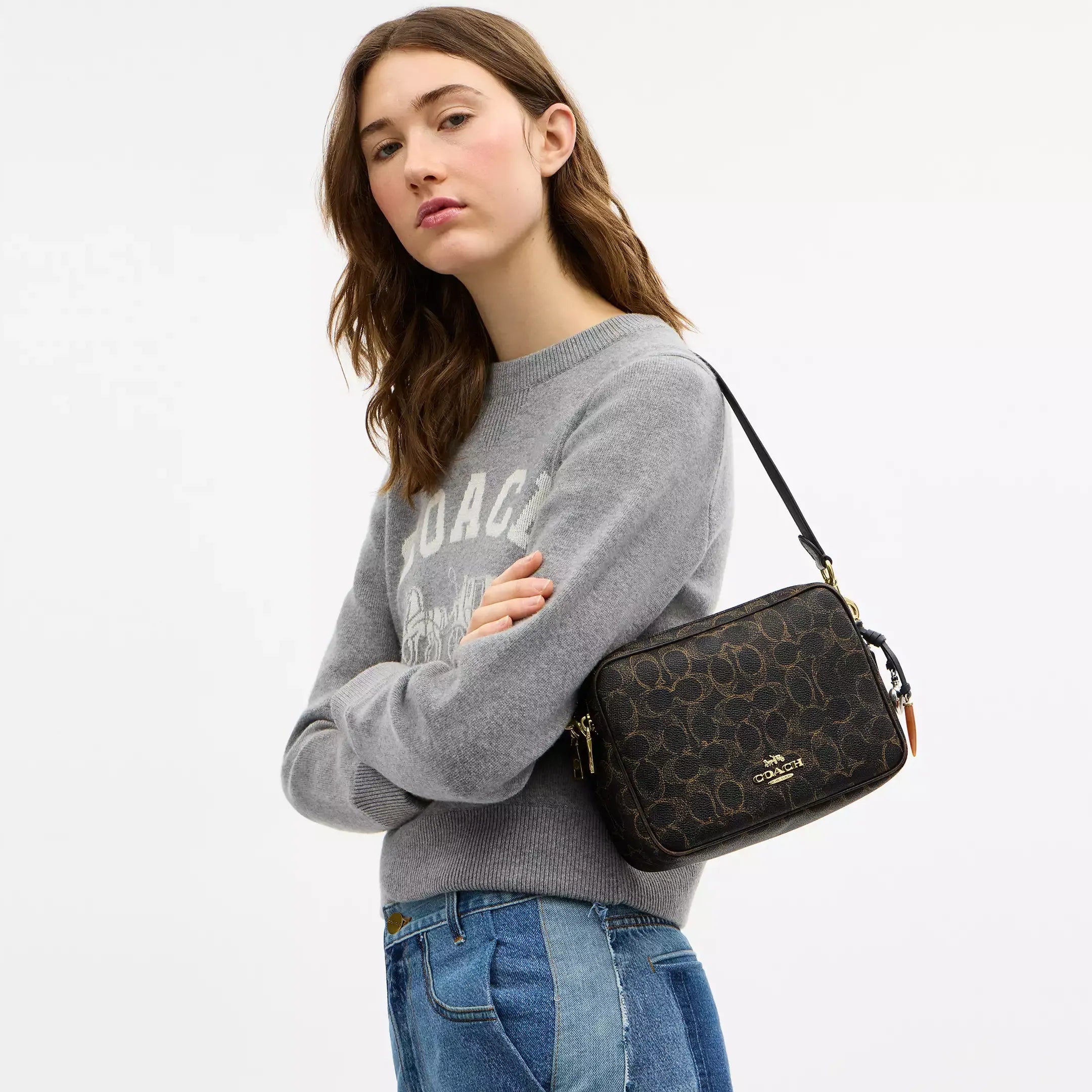 Coach Carey Crossbody Bag In Loved Signature Canvas With Charms