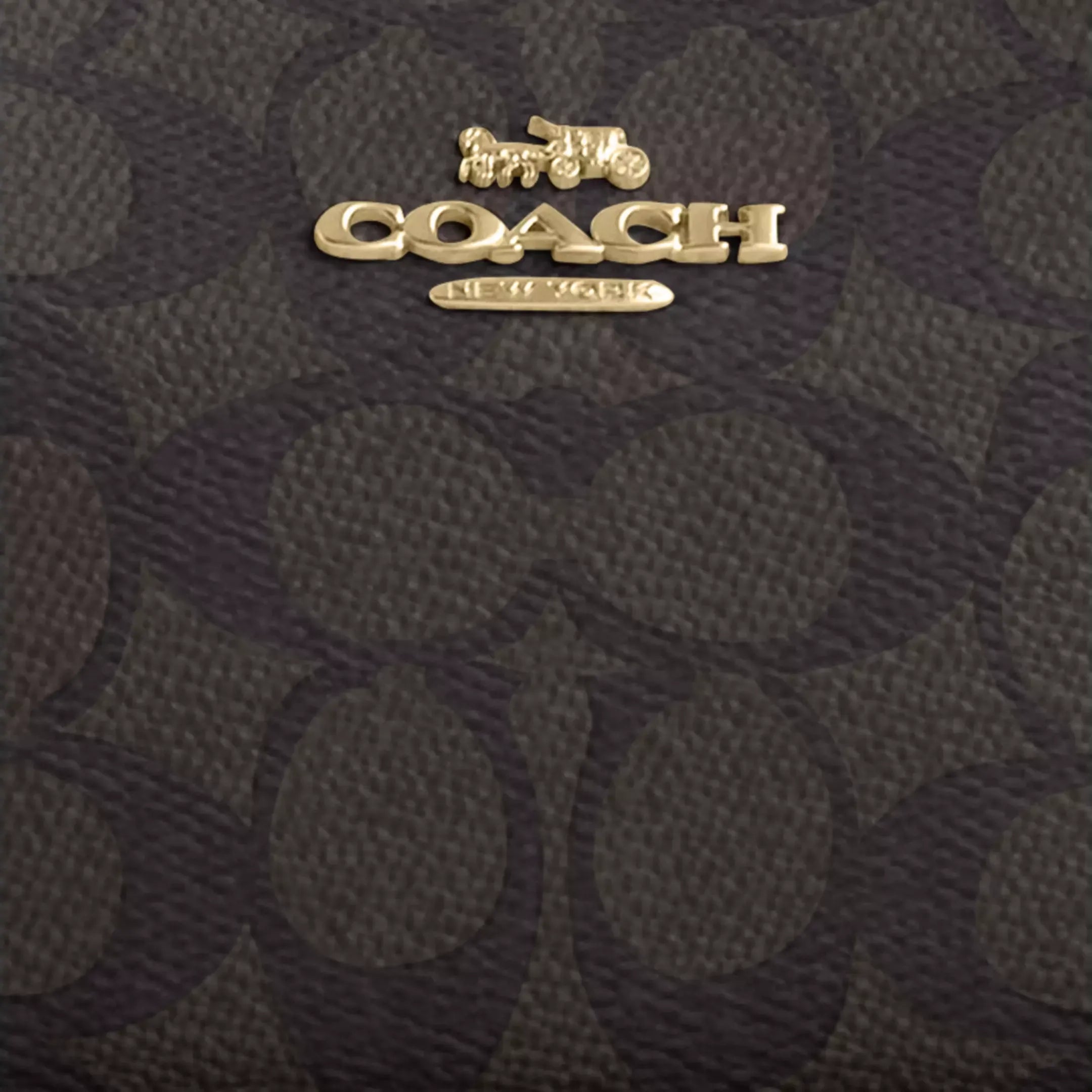 Coach Teri Mini Crossbody Bag In Signature Canvas