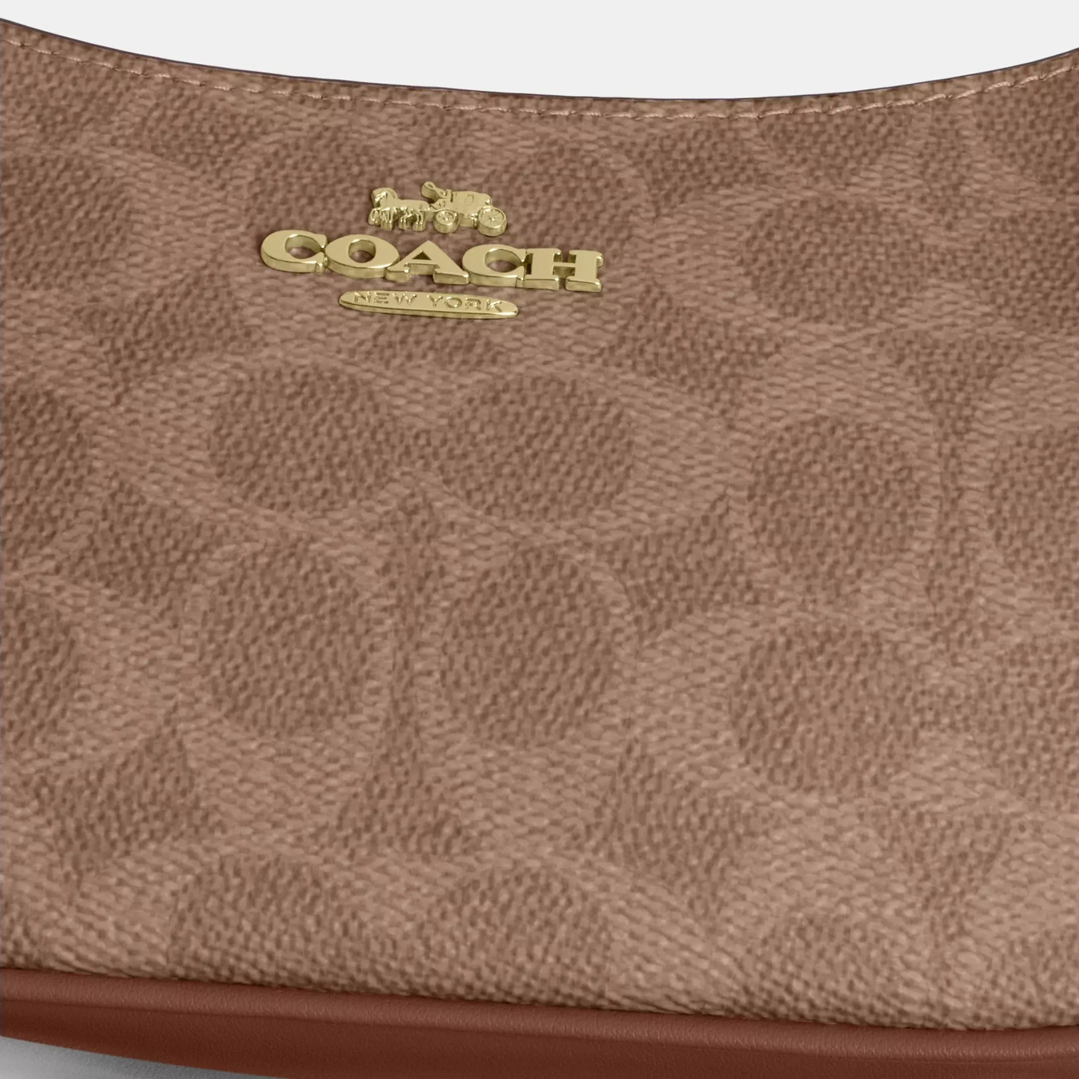 Coach Teri Mini Crossbody Bag In Signature Canvas