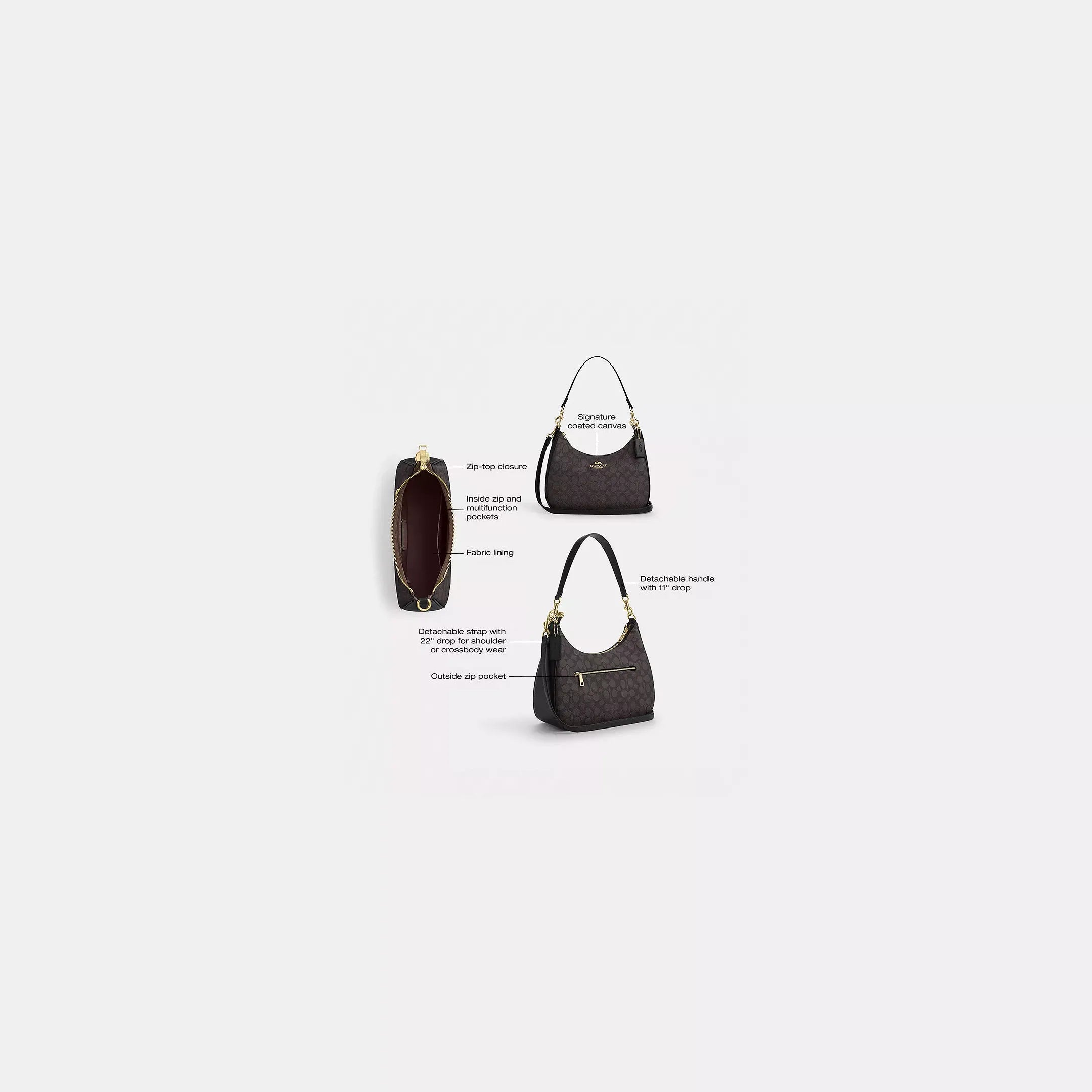 Coach Teri Hobo Bag In Signature Canvas