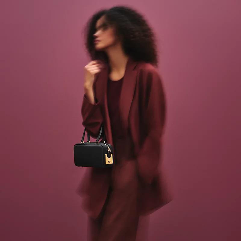 Hermès Faubourg Express bag