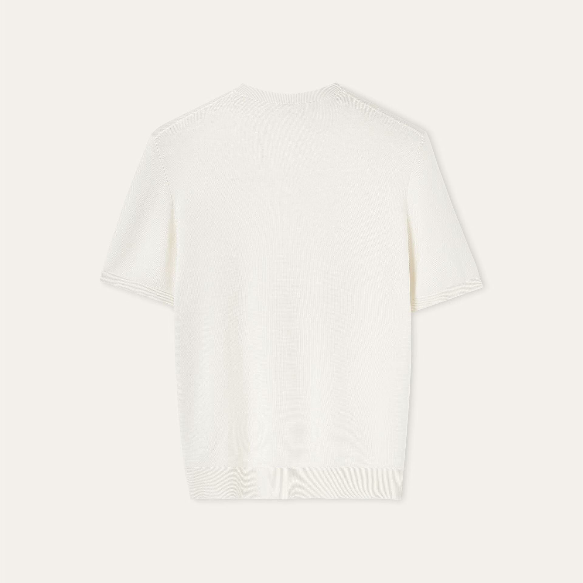 Loro Piana Lyskamm Crewneck in Silk
