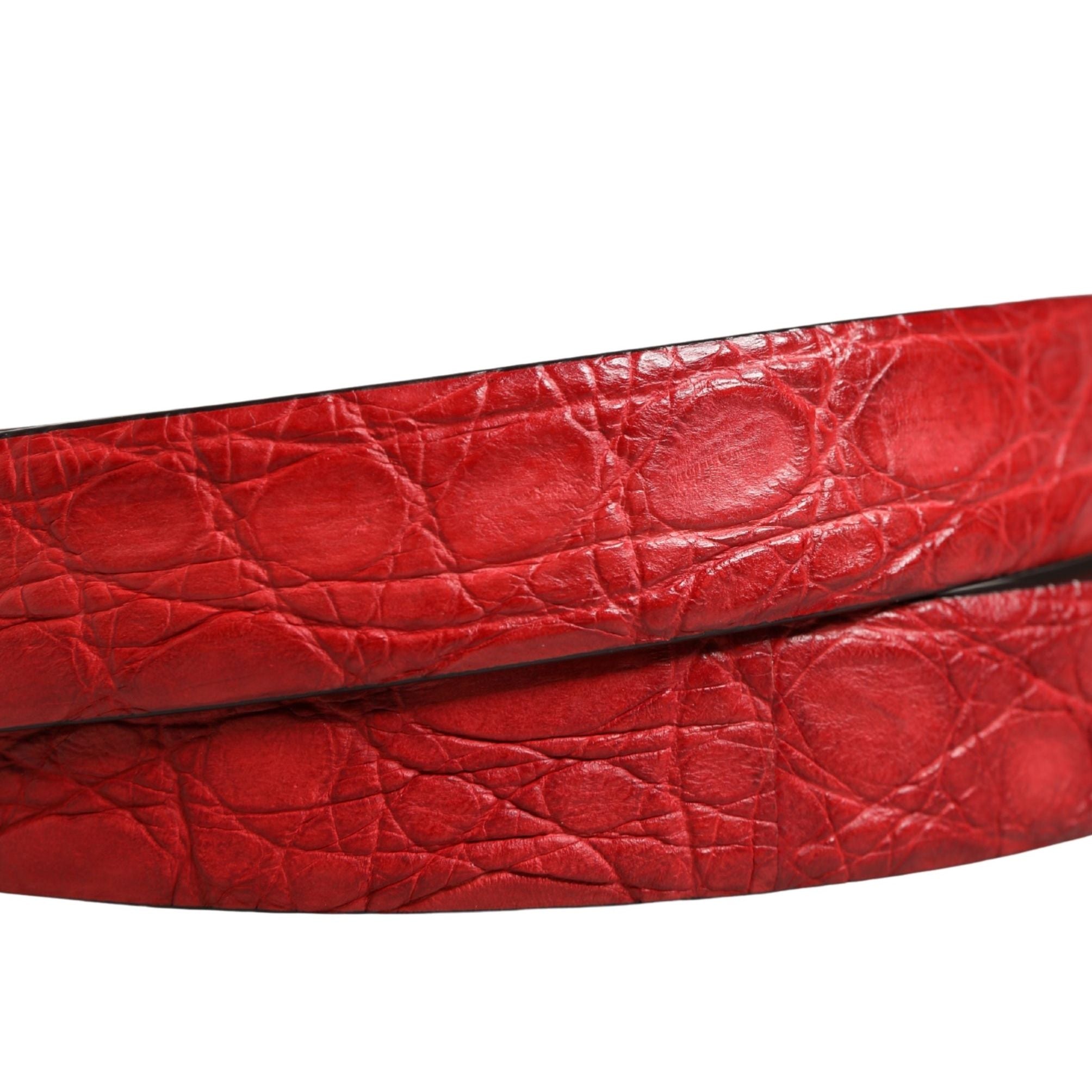 Dolce & Gabbana Men Red Exotic Leather Metal Buckle Belt