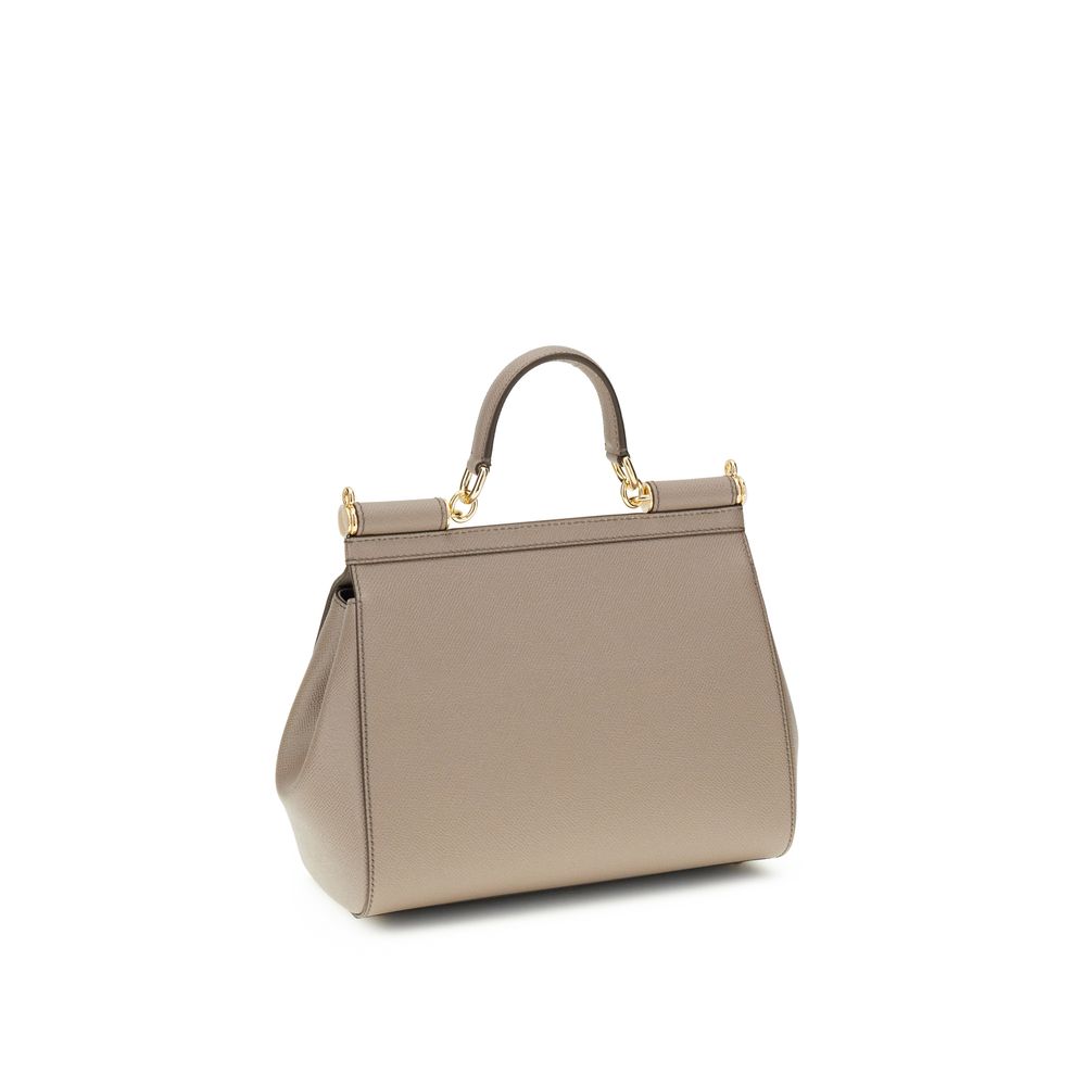 Dolce & Gabbana Gray Calf Leather Bos Taurus Handbag