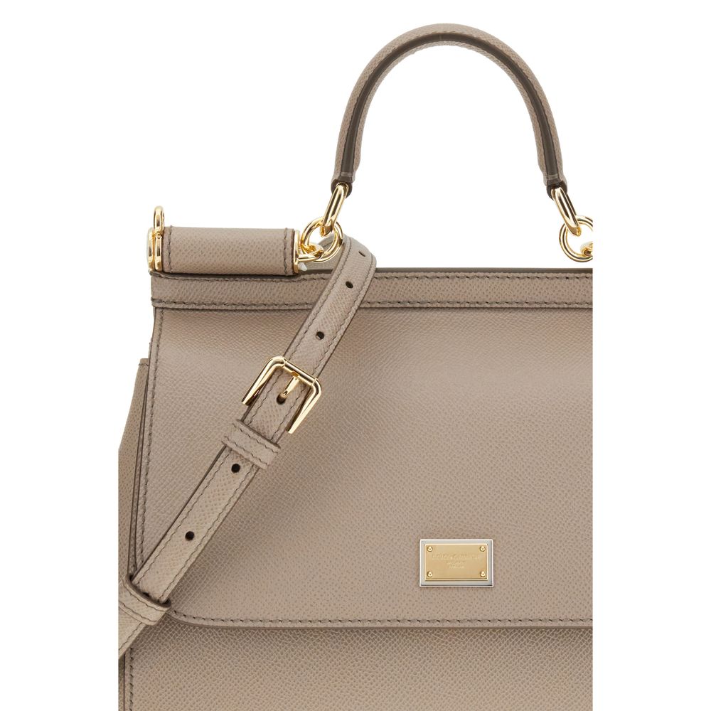 Dolce & Gabbana Gray Calf Leather Bos Taurus Handbag