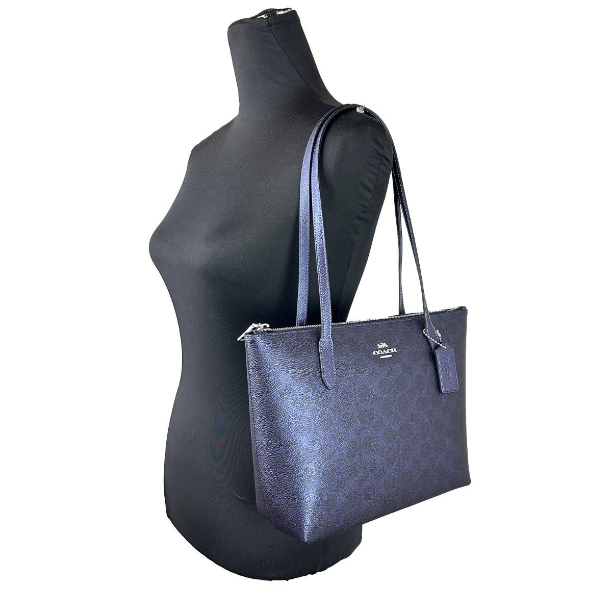 COACH Coach Signature Fiona Zip Tote Bag