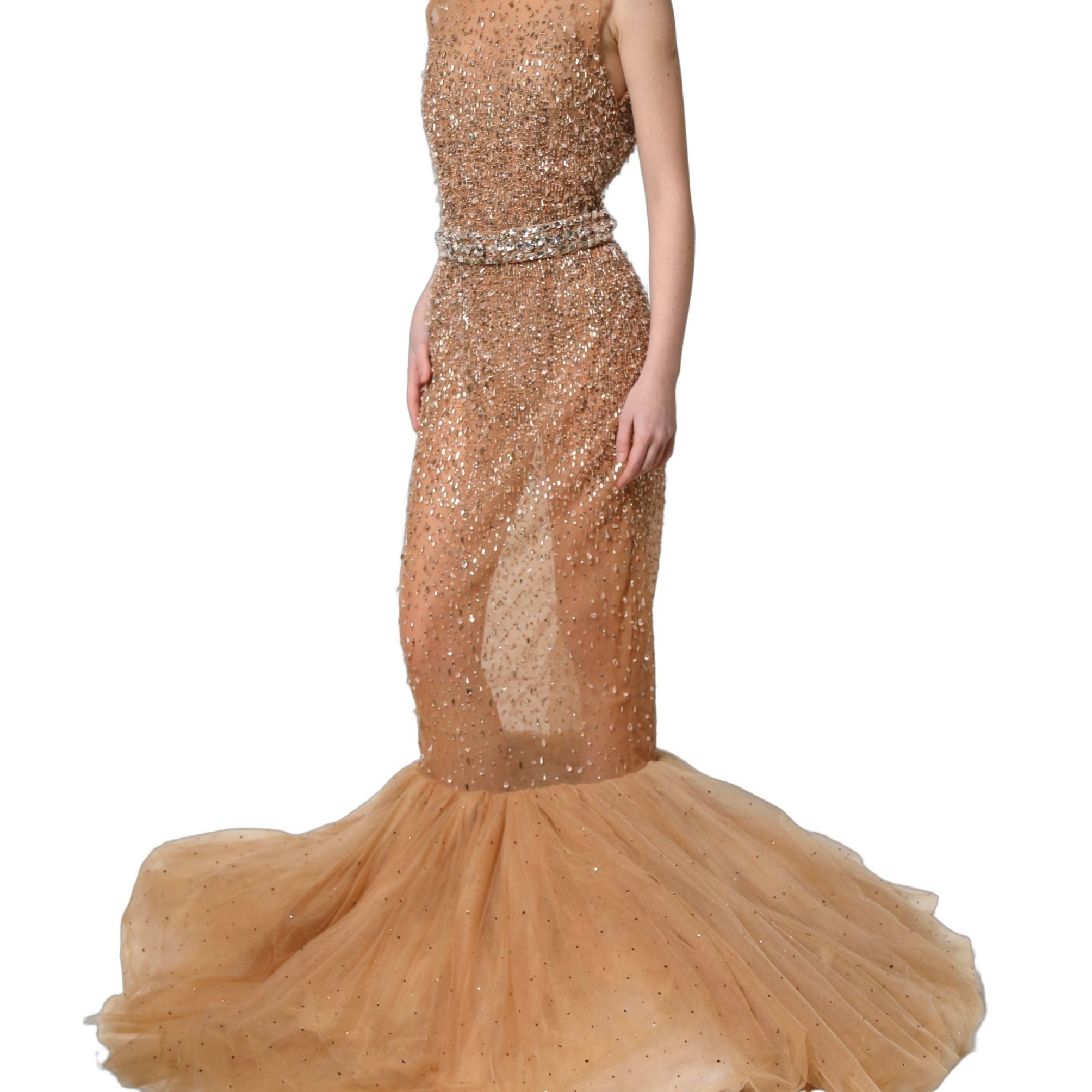 Dolce & Gabbana Brown Crystal Embellished Mermaid Gown Dress
