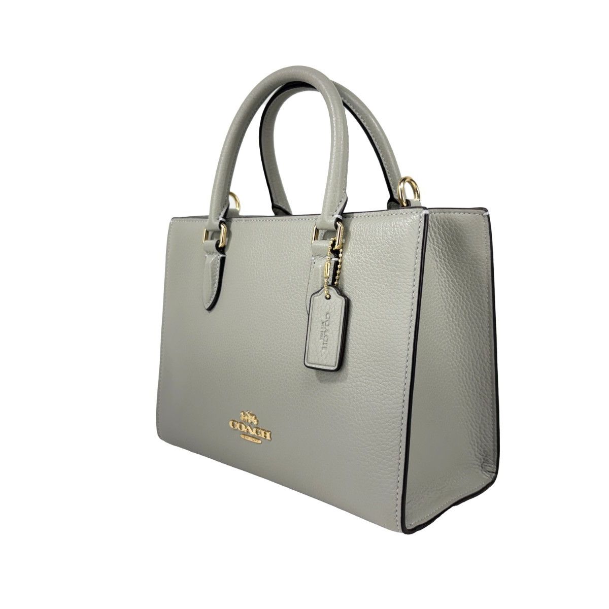 COACH Coach Maggie Small Leather Crossbody Tote Bag