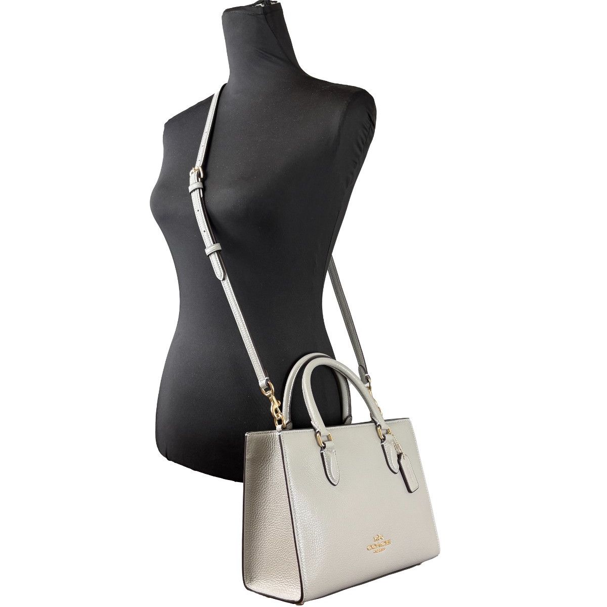 COACH Coach Maggie Small Leather Crossbody Tote Bag
