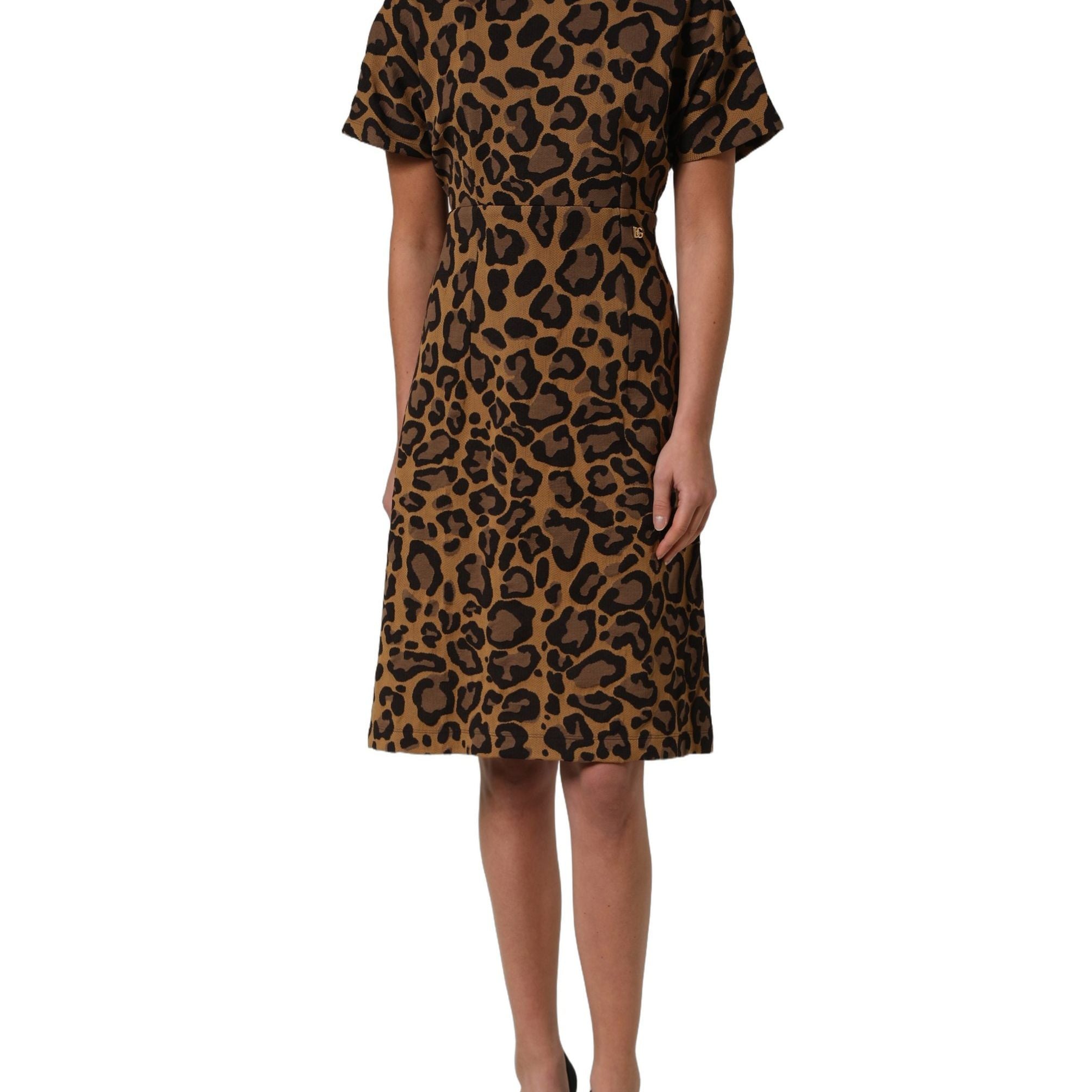 Dolce & Gabbana Brown LeopardPrint Flared A-line Mini Dress