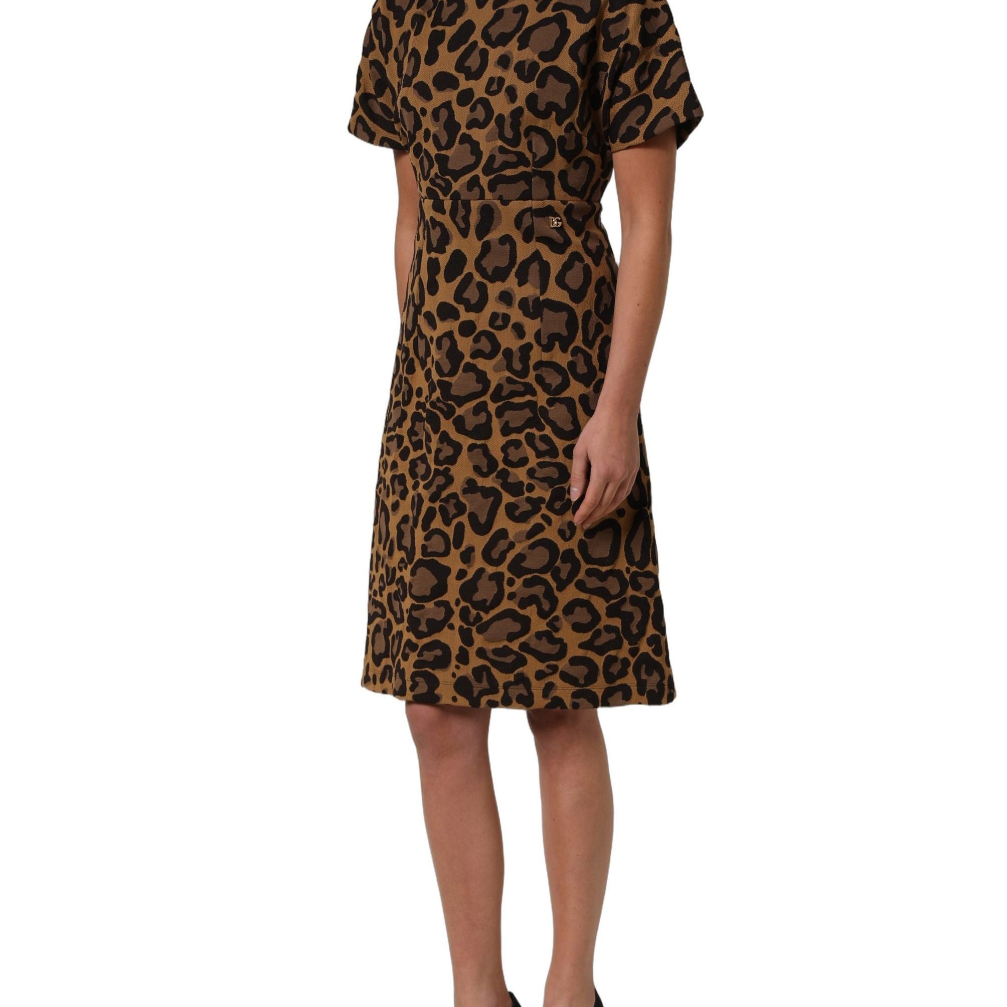 Dolce & Gabbana Brown LeopardPrint Flared A-line Mini Dress