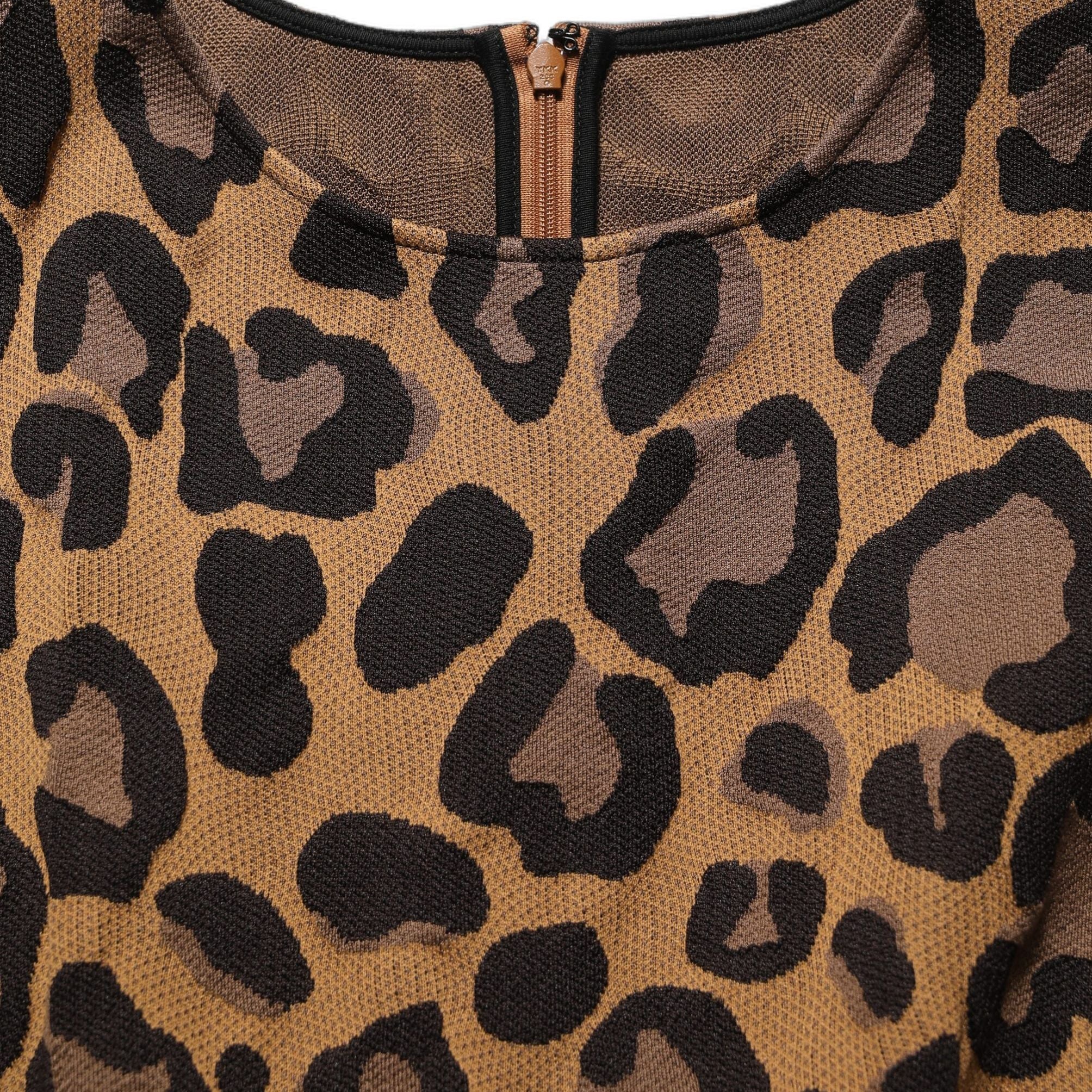 Dolce & Gabbana Brown LeopardPrint Flared A-line Mini Dress