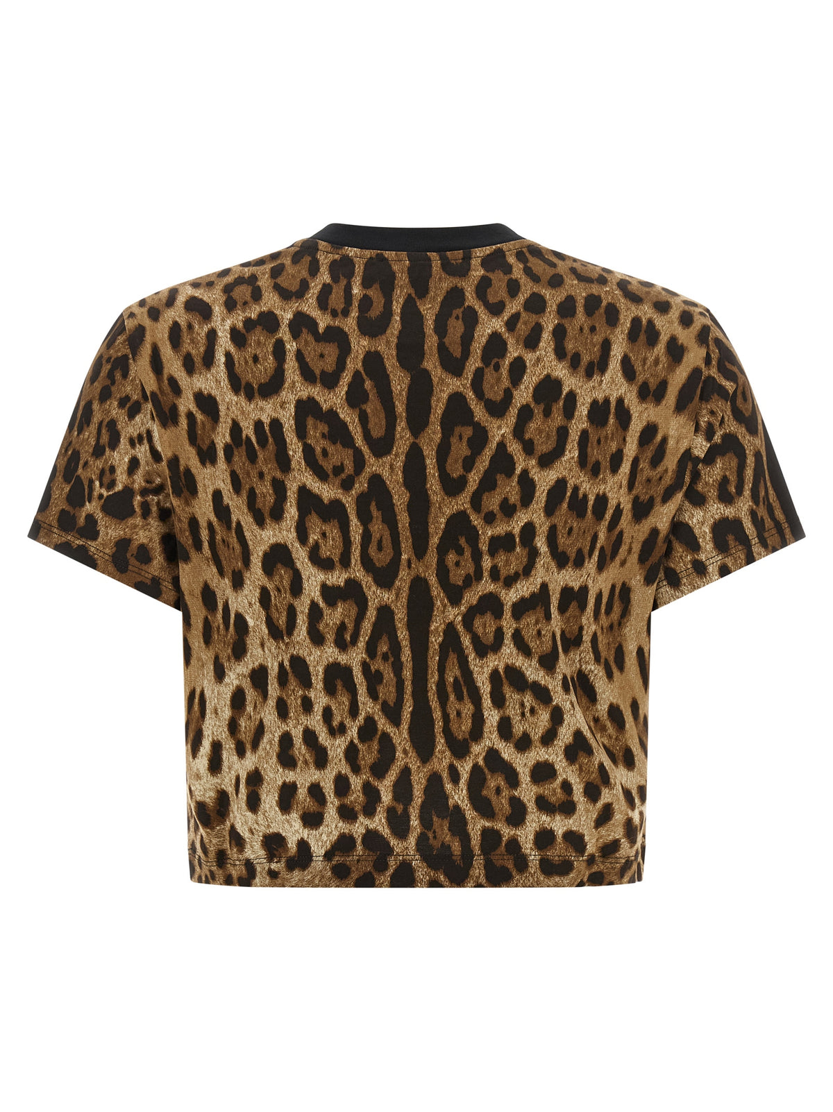 Dolce & Gabbana Brown Cotton T-Shirt