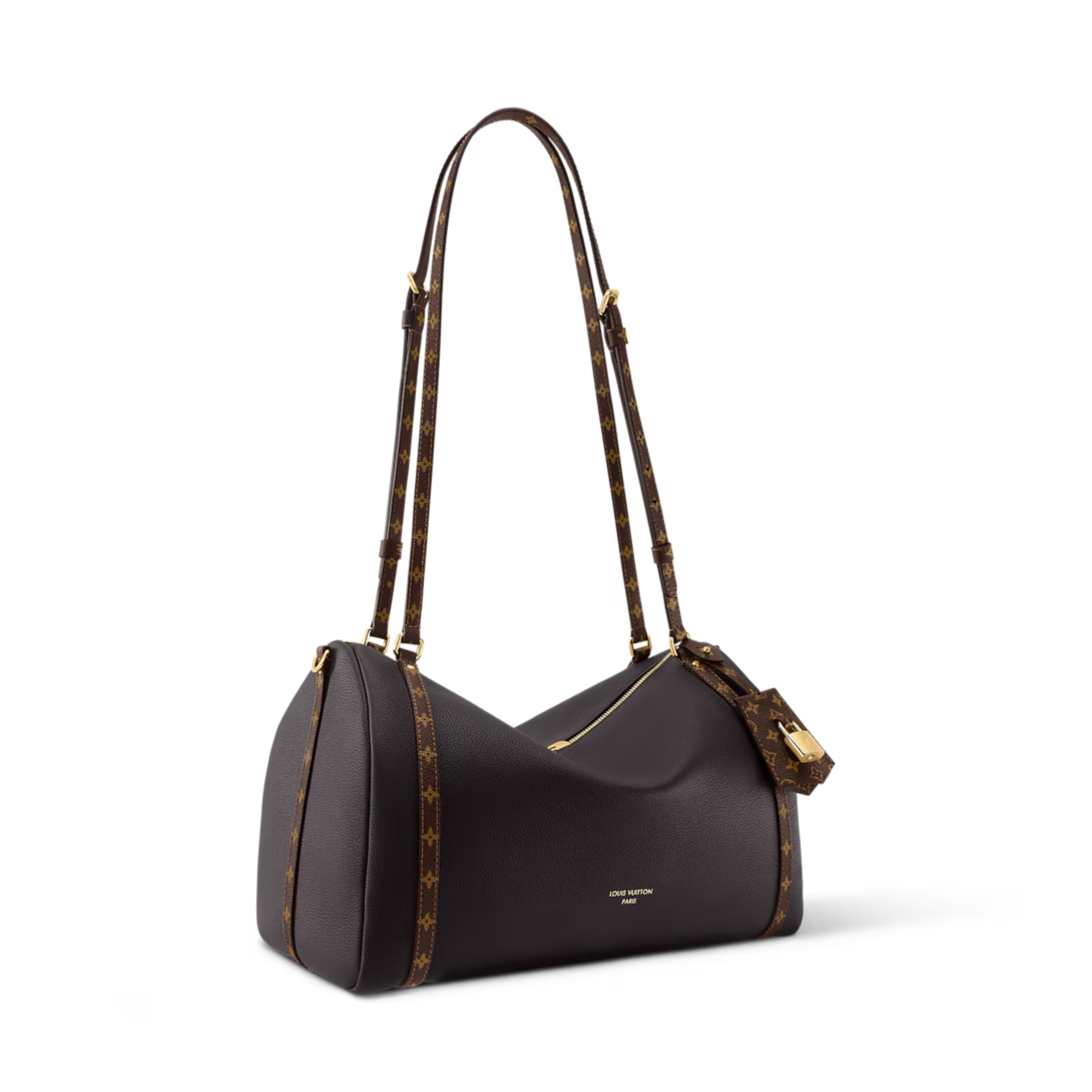 Louis Vuitton Express MM Bag