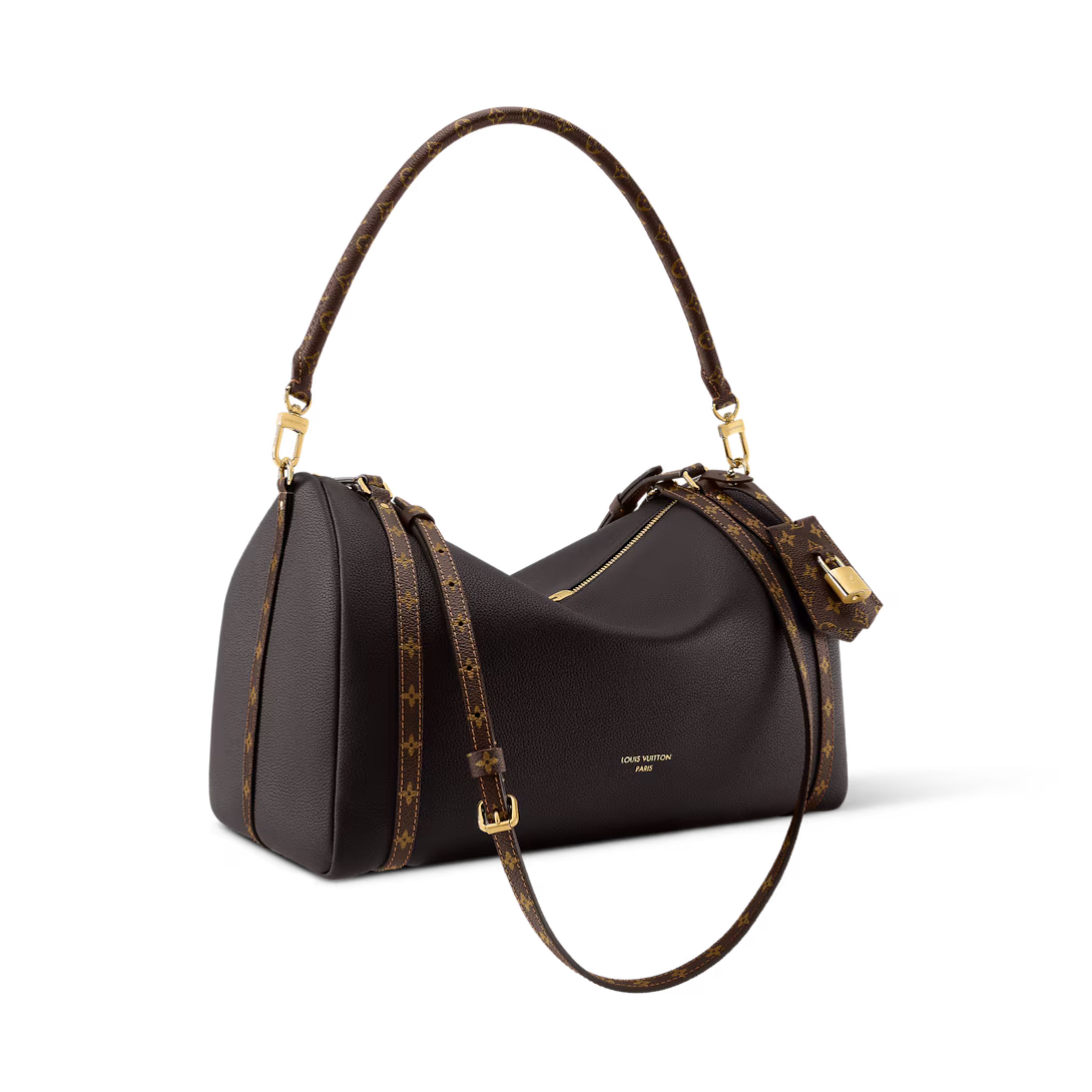 Louis Vuitton Express MM Bag