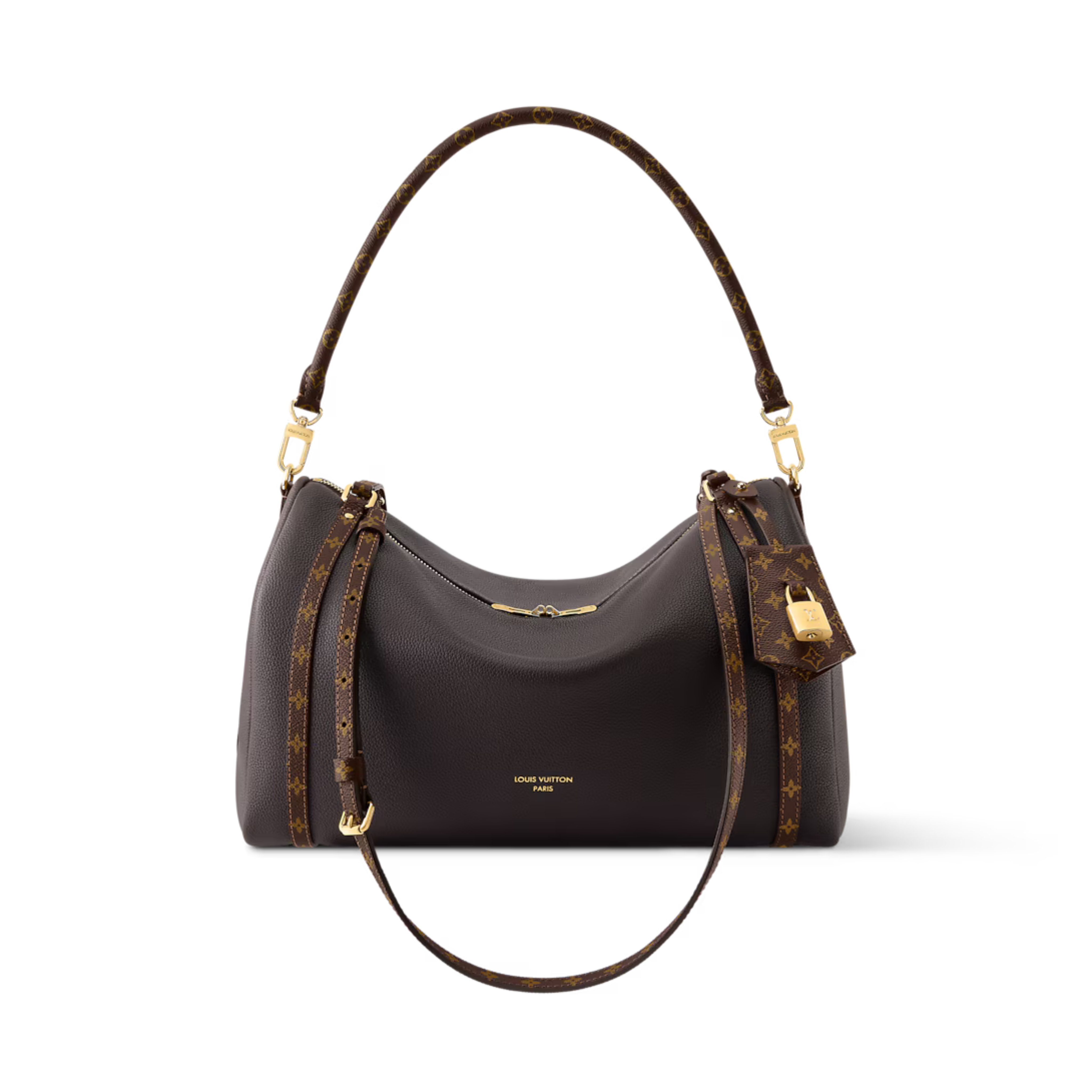 Louis Vuitton Express MM Bag