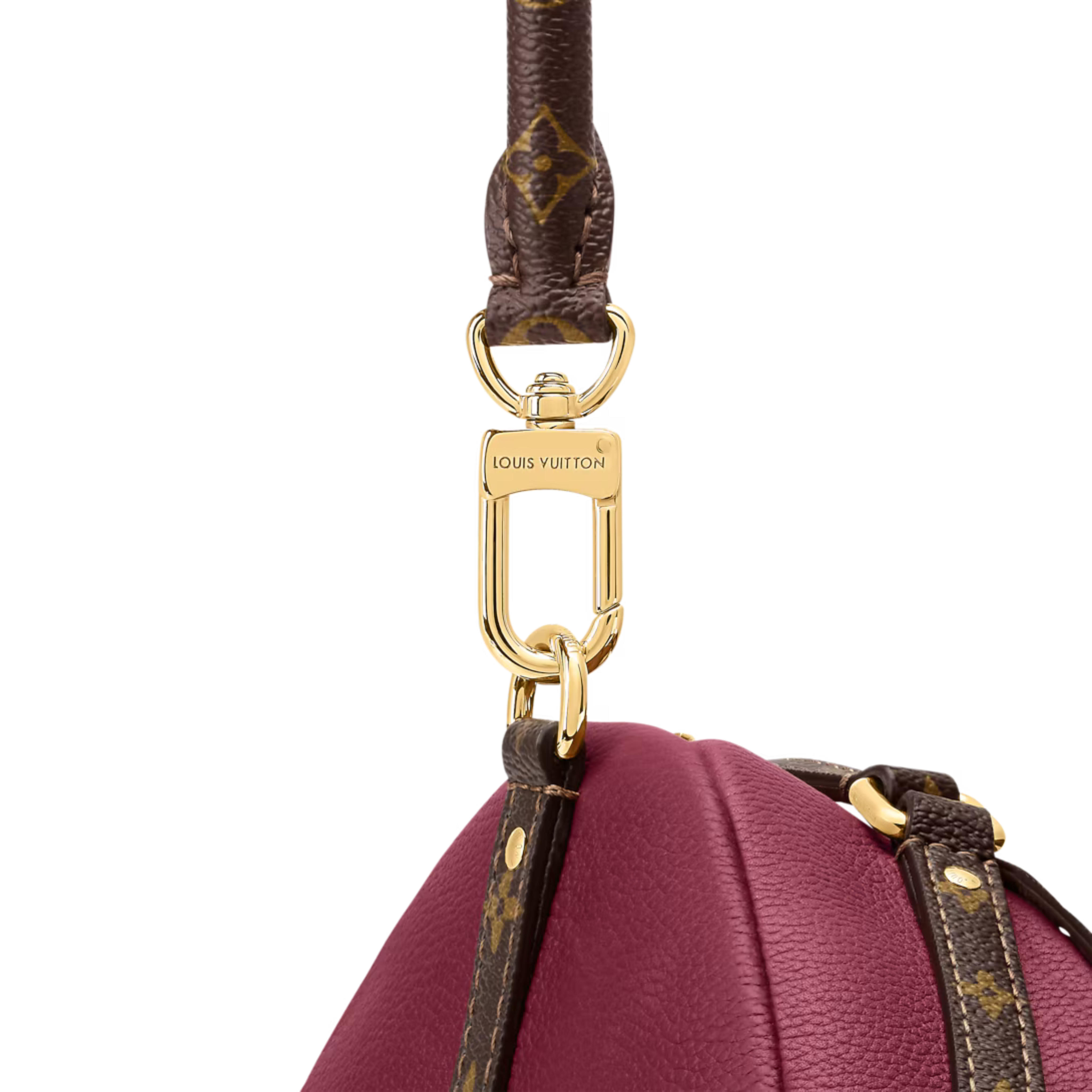 Louis Vuitton Express MM Bag