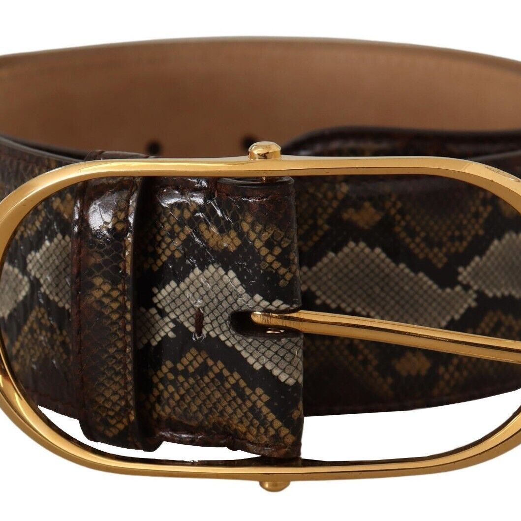 Dolce & Gabbana Brown Python Leather Gold Oval Buckle Belt