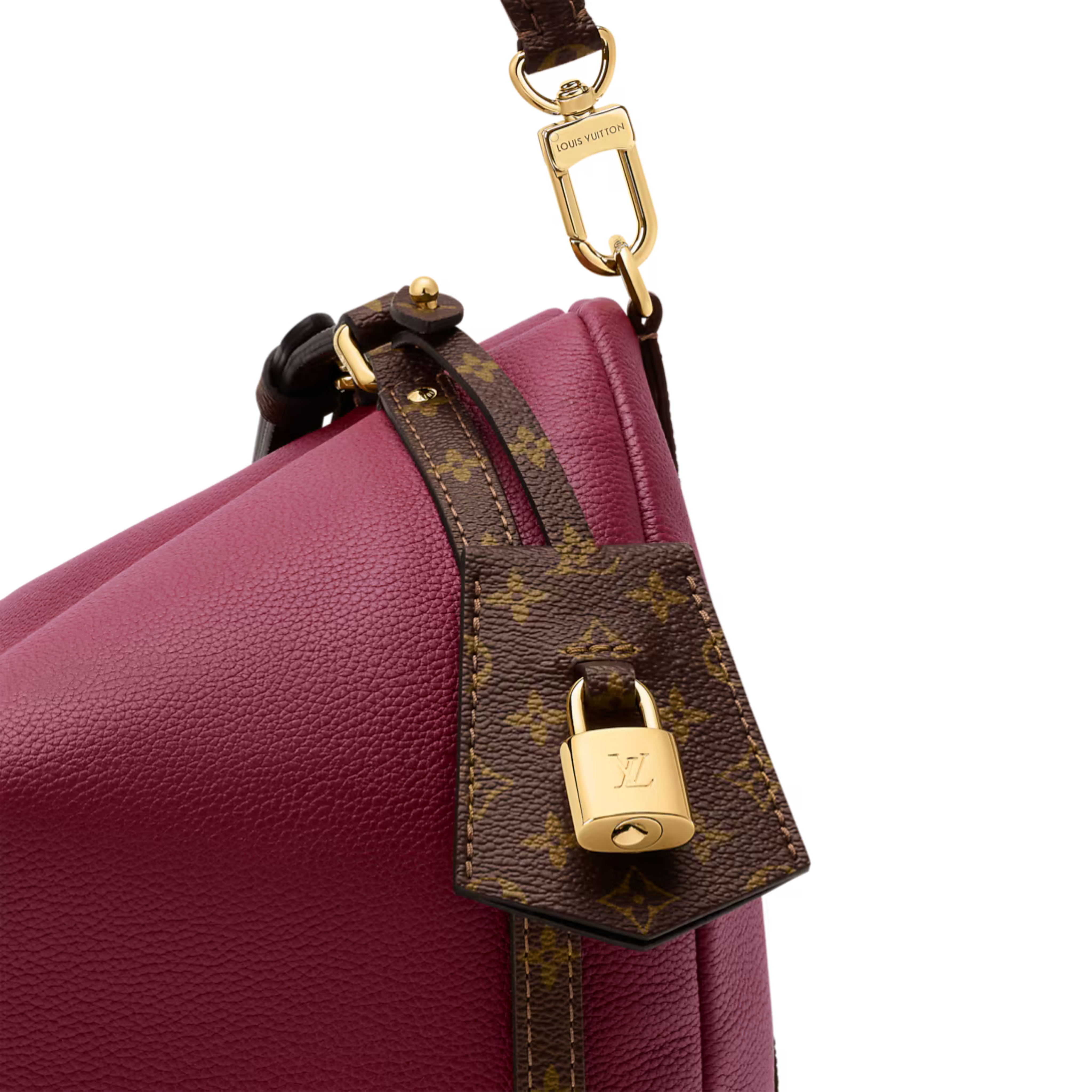 Louis Vuitton Express MM Bag