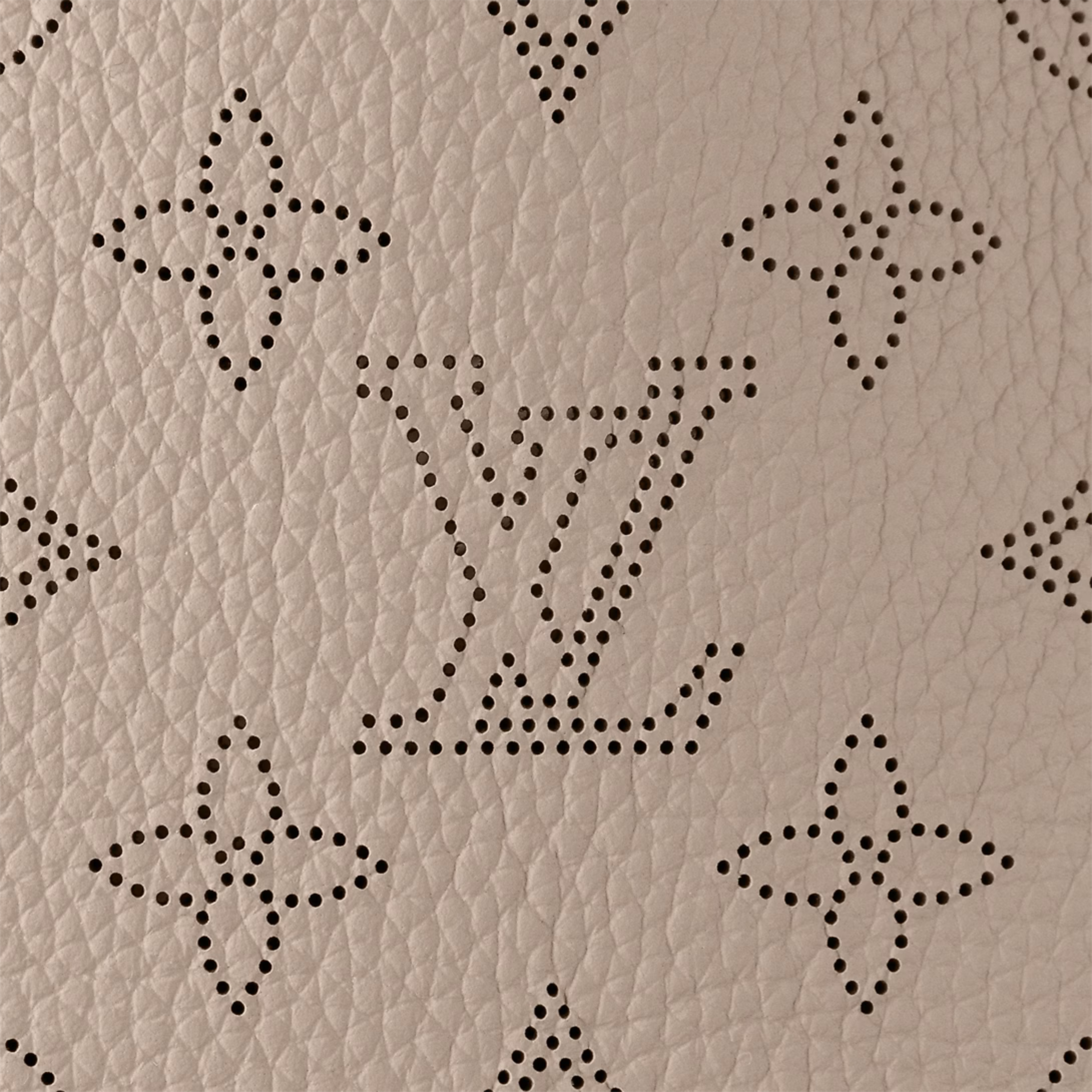 Louis Vuitton Carmel Bag