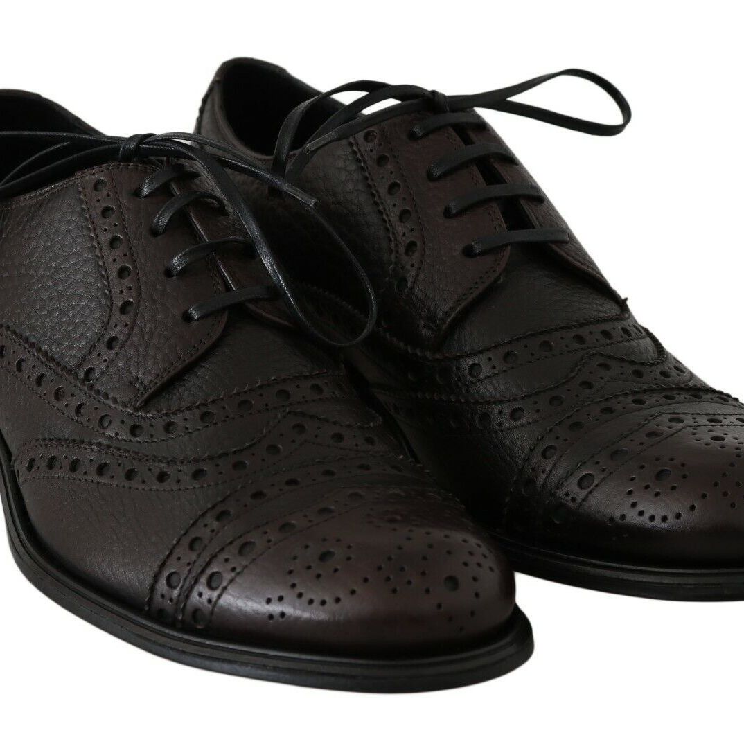 Dolce & Gabbana Brown Leather Wingtip Derby Formal Shoes