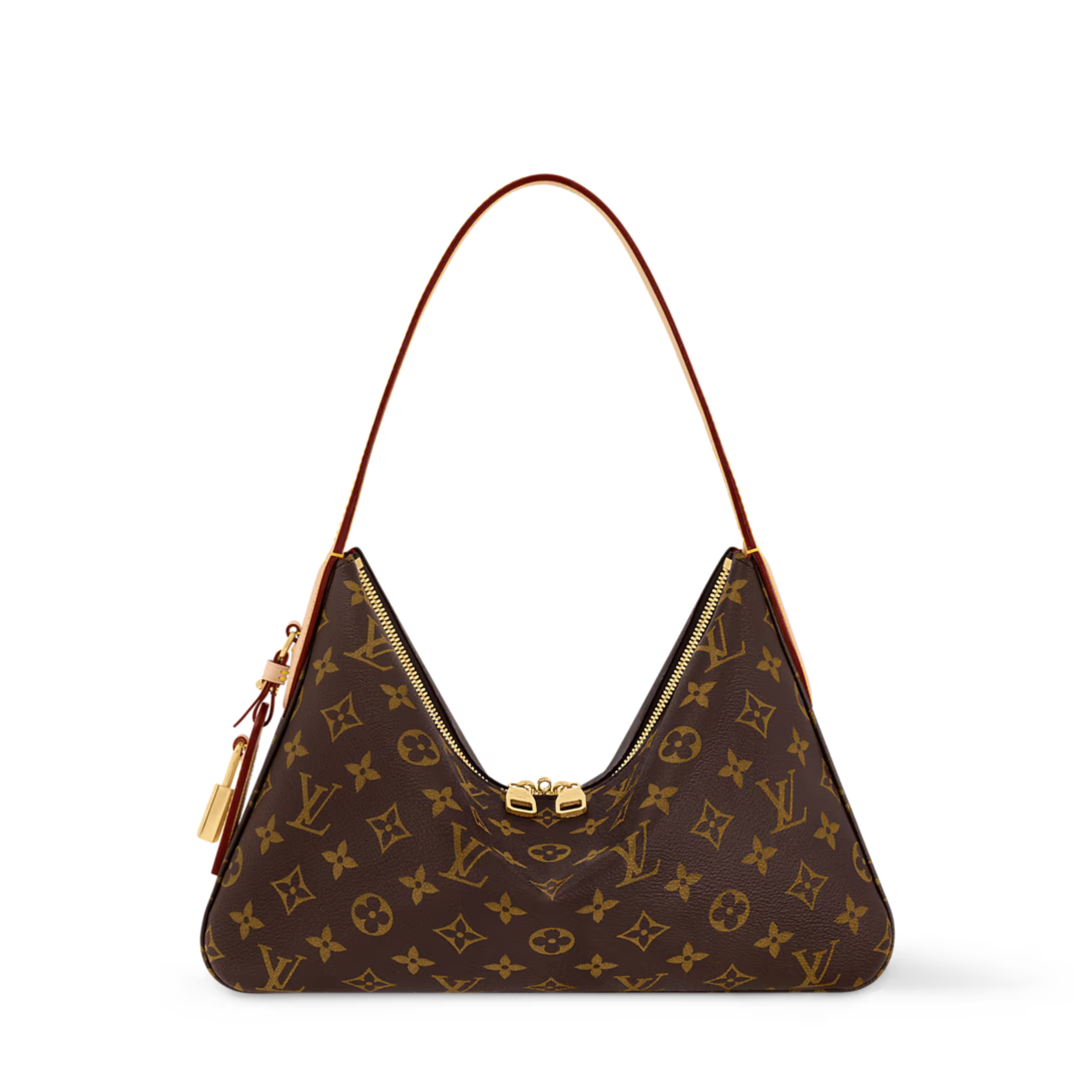 Louis Vuitton Slouchy PM Bag