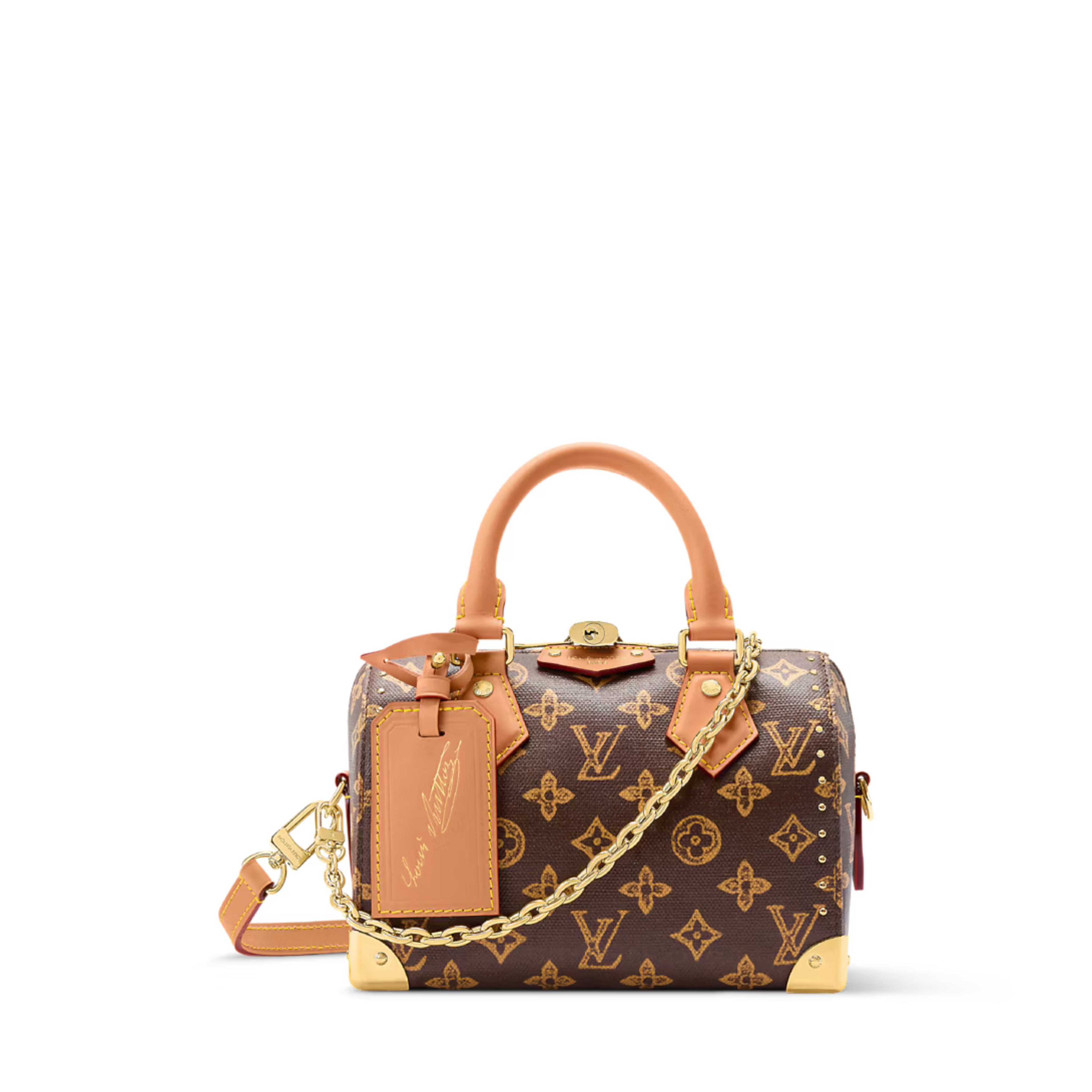 Louis Vuitton Speedy Trunk 20 Bag